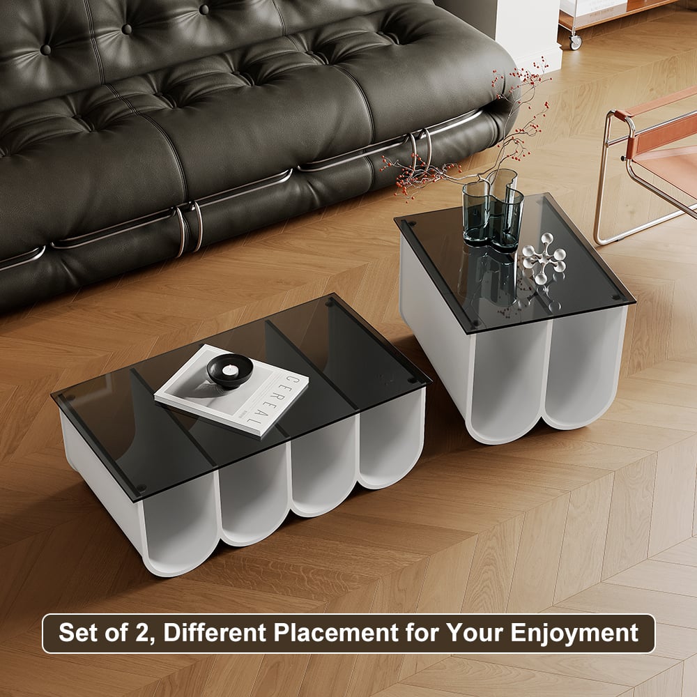 HMR - 2-Piece Square Coffee Table Set with Black Clear Glass Tabletop & White Metal Arch Base