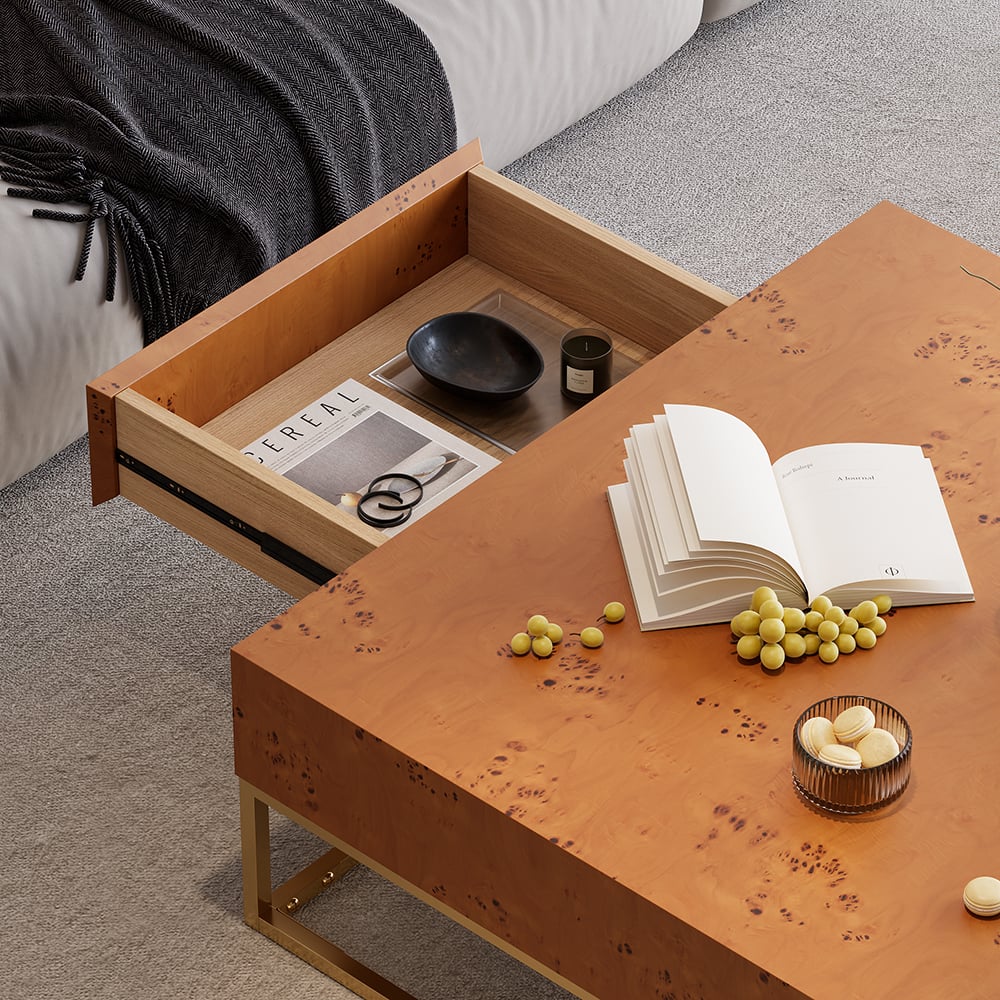 HMR - Modern 39.4" Wooden Burl Coffee Table Square with 2 Drawers in Gold Frame