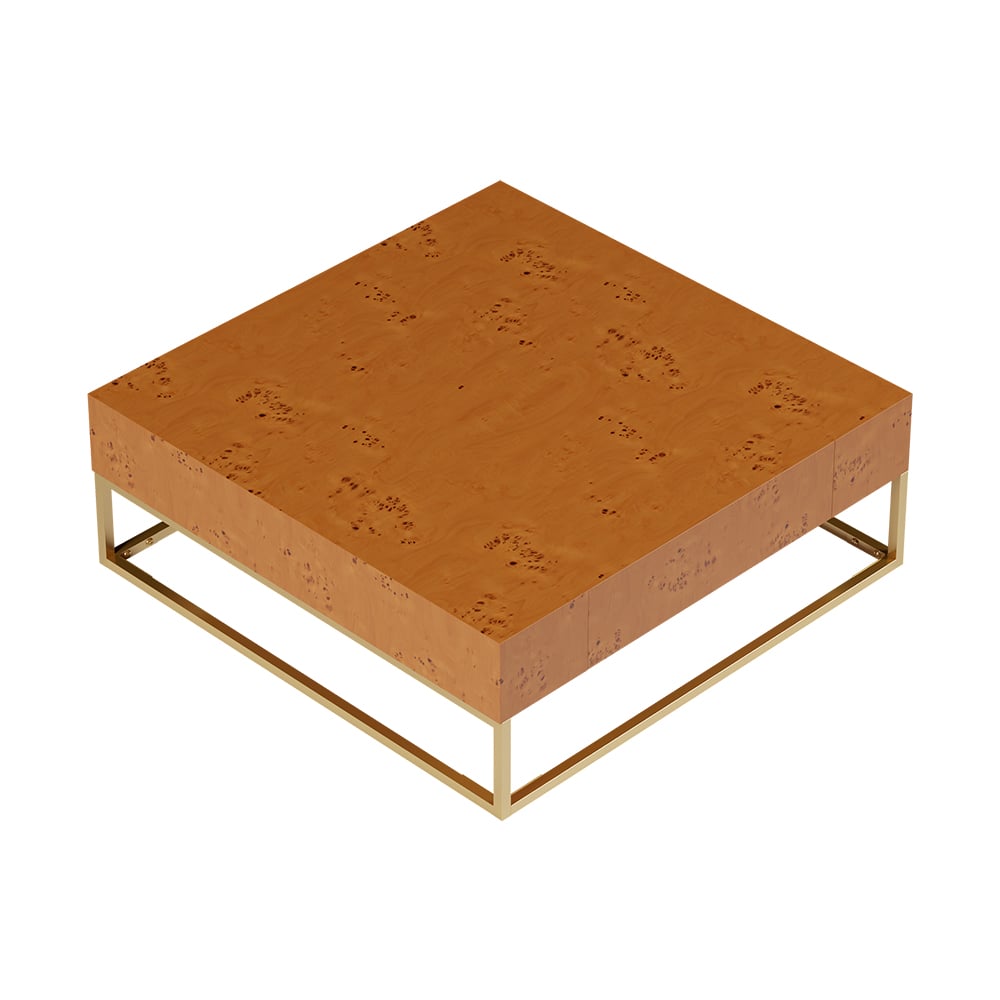 HMR - Modern 39.4" Wooden Burl Coffee Table Square with 2 Drawers in Gold Frame