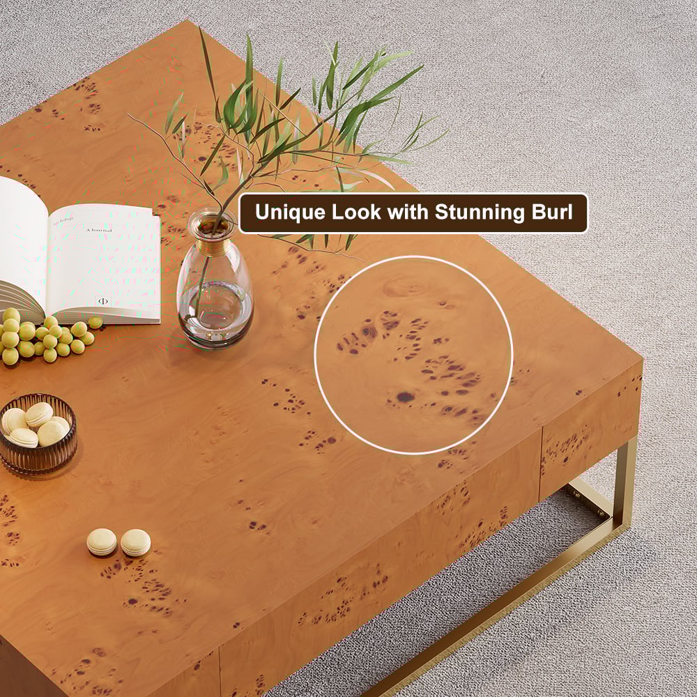 HMR - Modern 39.4" Wooden Burl Coffee Table Square with 2 Drawers in Gold Frame