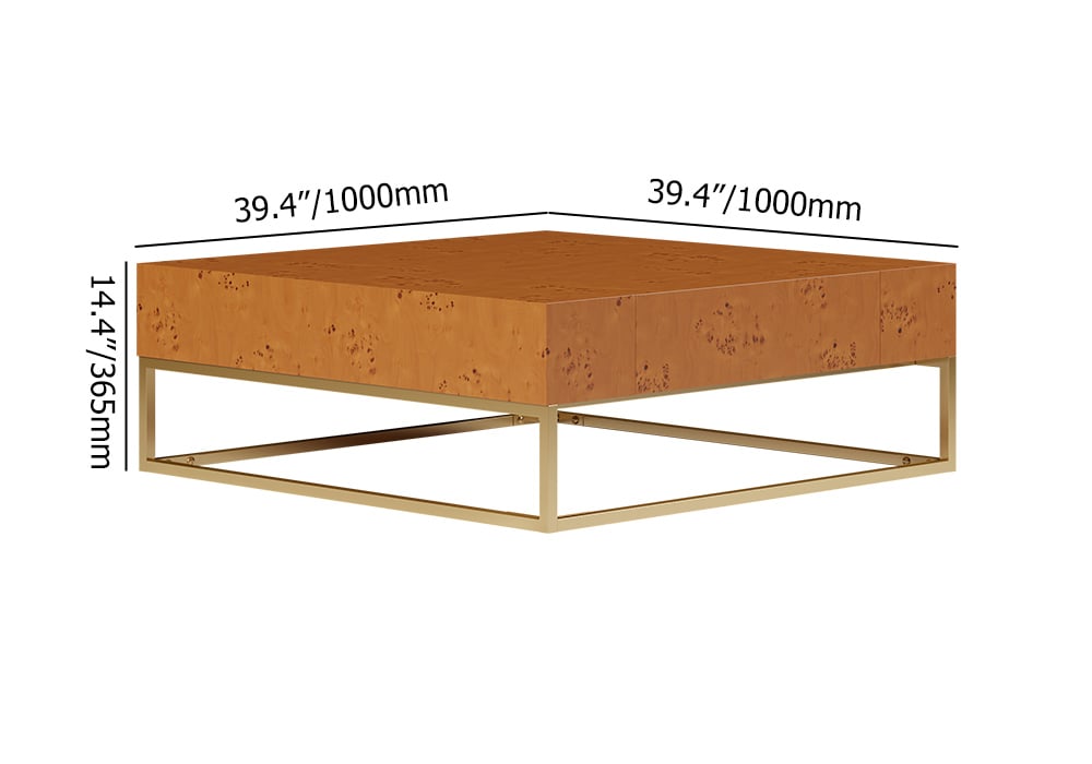HMR - Modern 39.4" Wooden Burl Coffee Table Square with 2 Drawers in Gold Frame