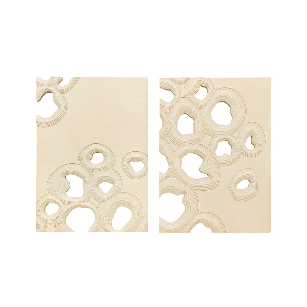HMR - 2 Pieces 3D Abstract Geometric Carved Wood Wall Art Sculpture Decor Living Room Bedroom