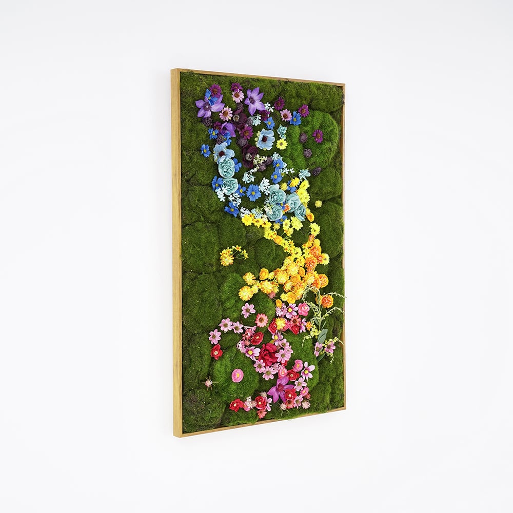 HMR - 3D Preserved Moss Flower Wall Art Hanging Rainbow Floral Wall Decor with Wood Frame