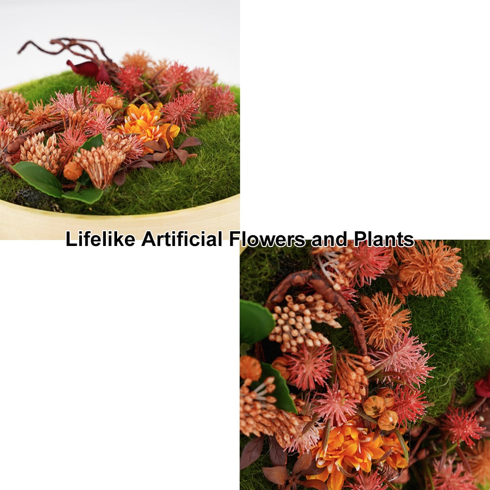 HMR 3D Round Preserved Moss Flower Wall Art Hanging Rainbow Floral Decor with Wood Frame – Multi-Color, Style B