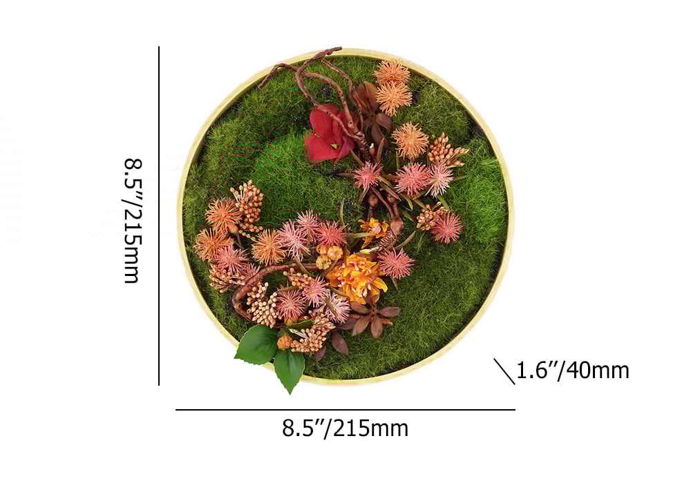 HMR 3D Round Preserved Moss Flower Wall Art Hanging Rainbow Floral Decor with Wood Frame – Multi-Color, Style B