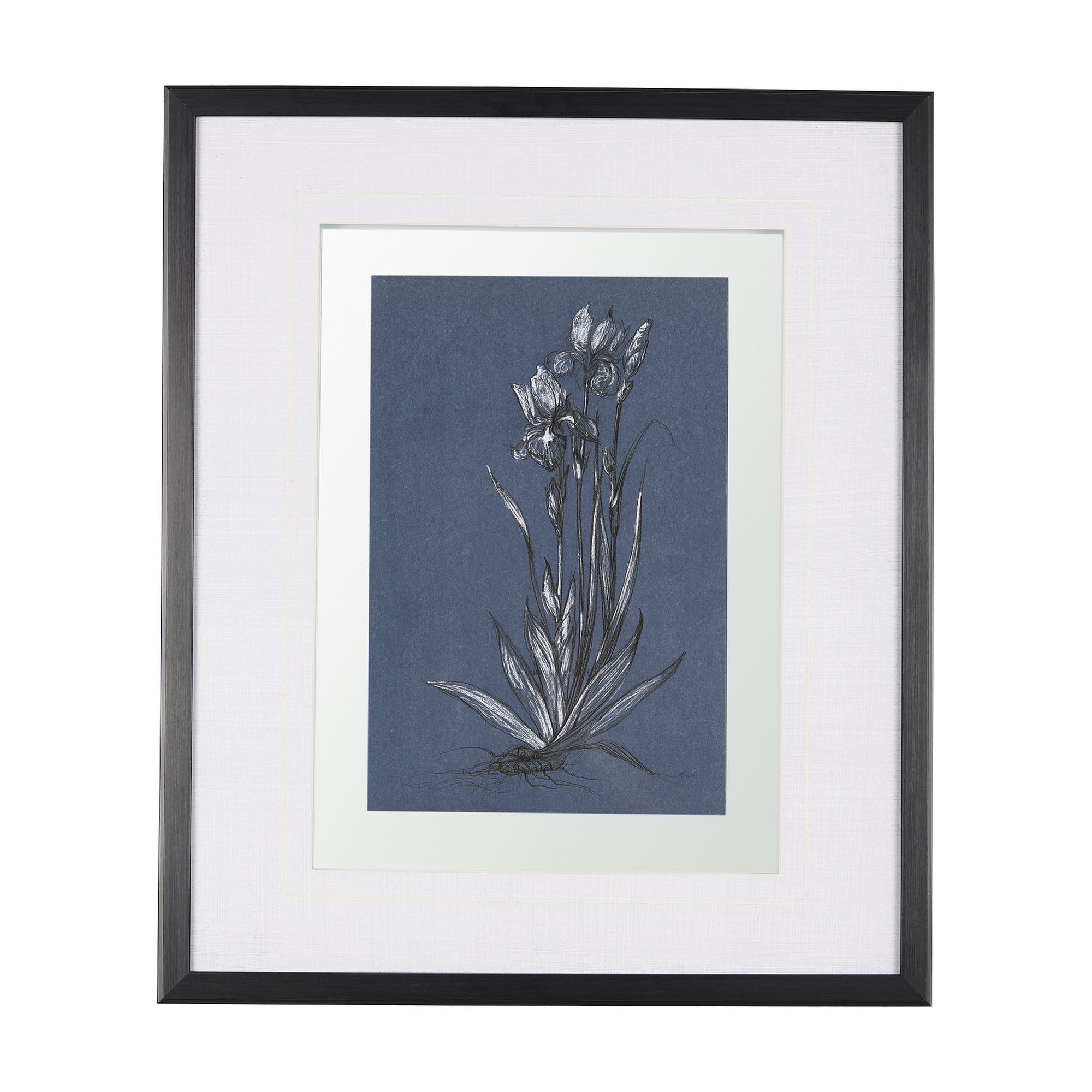 Mercana - Botanical Sketch