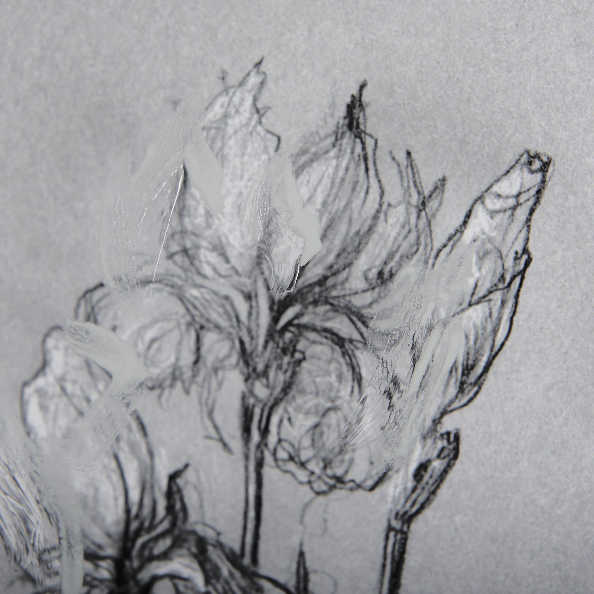 Mercana Botanical Sketches IV - Gray, Small