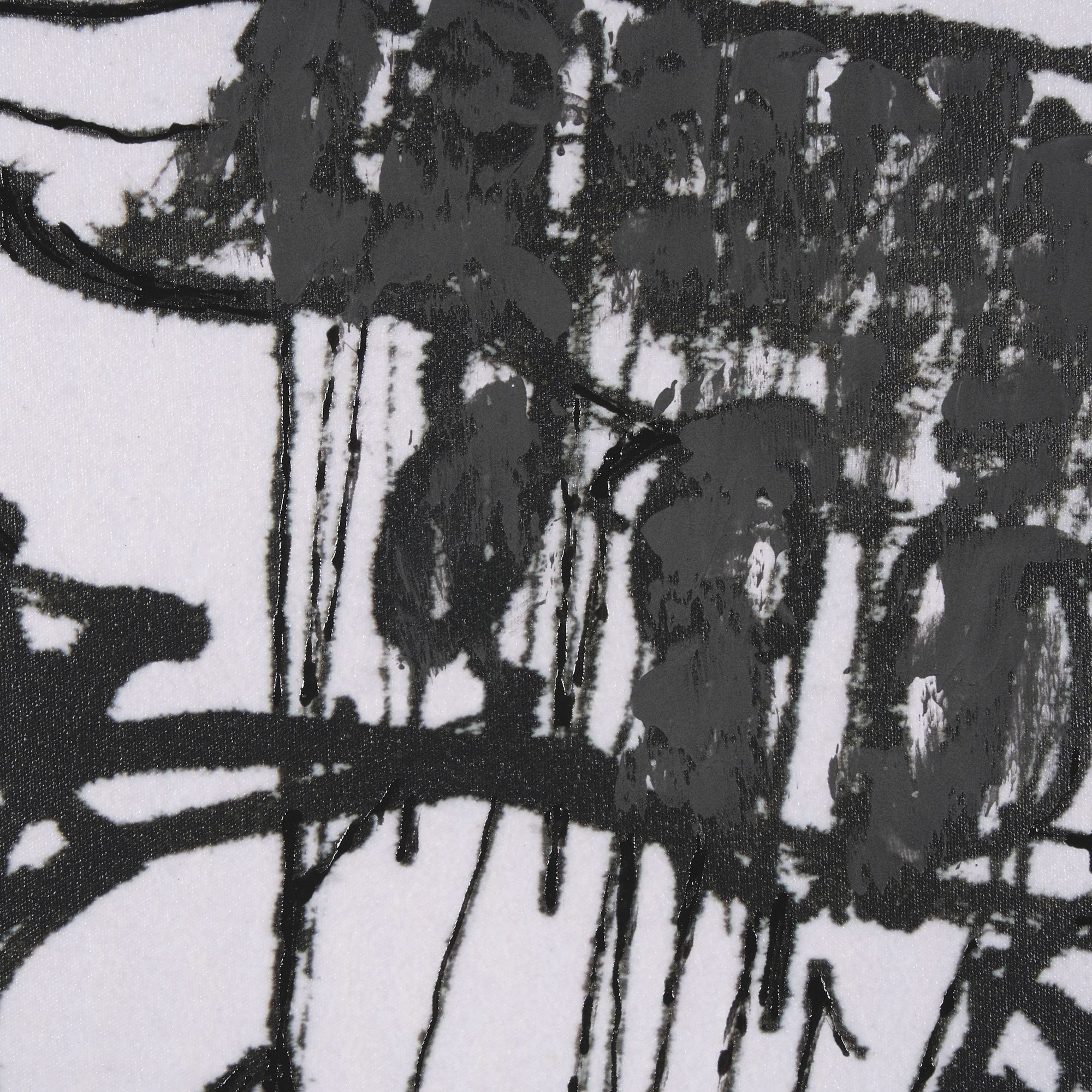 Mercana Lost Treasure Map I