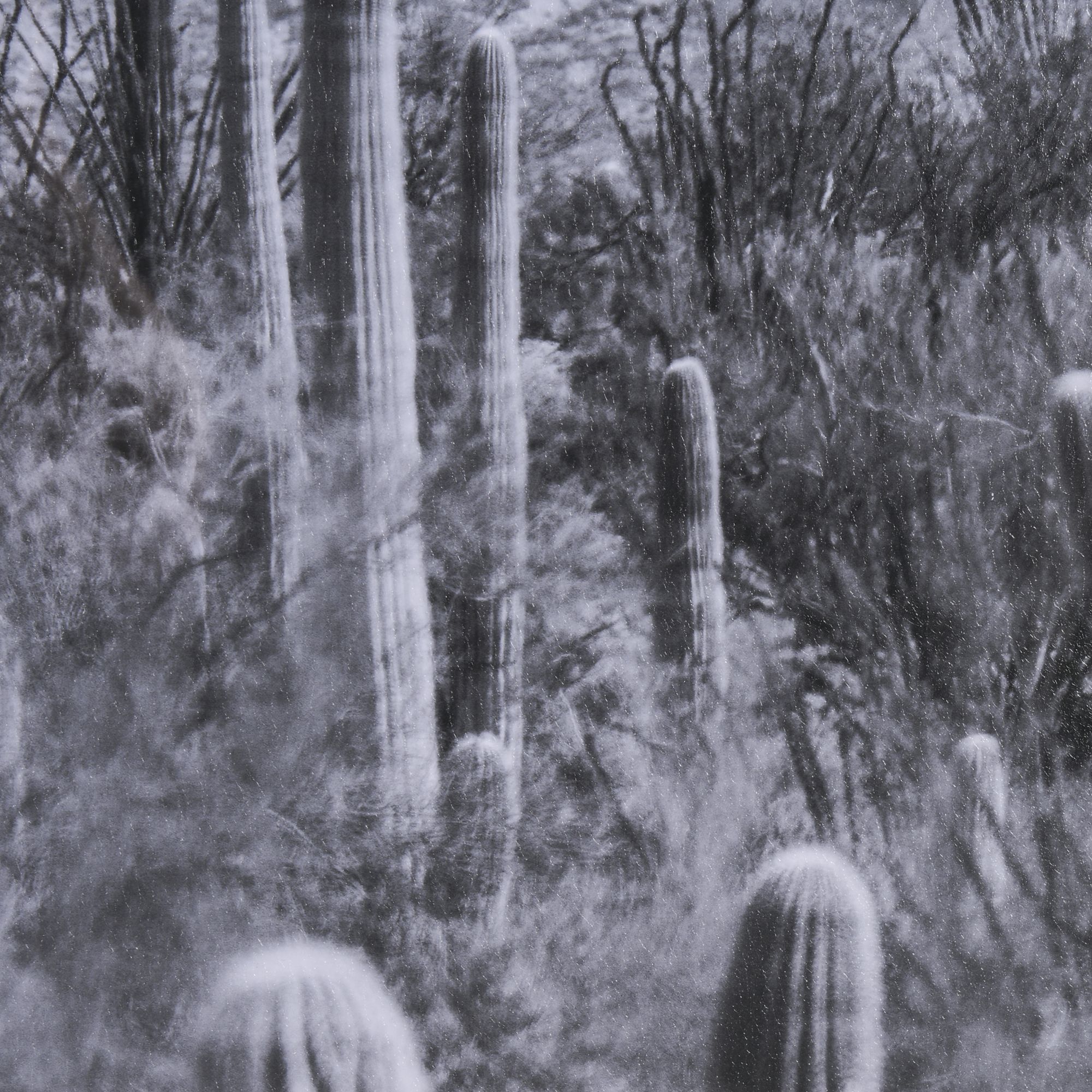 Mercana - American Borderlands