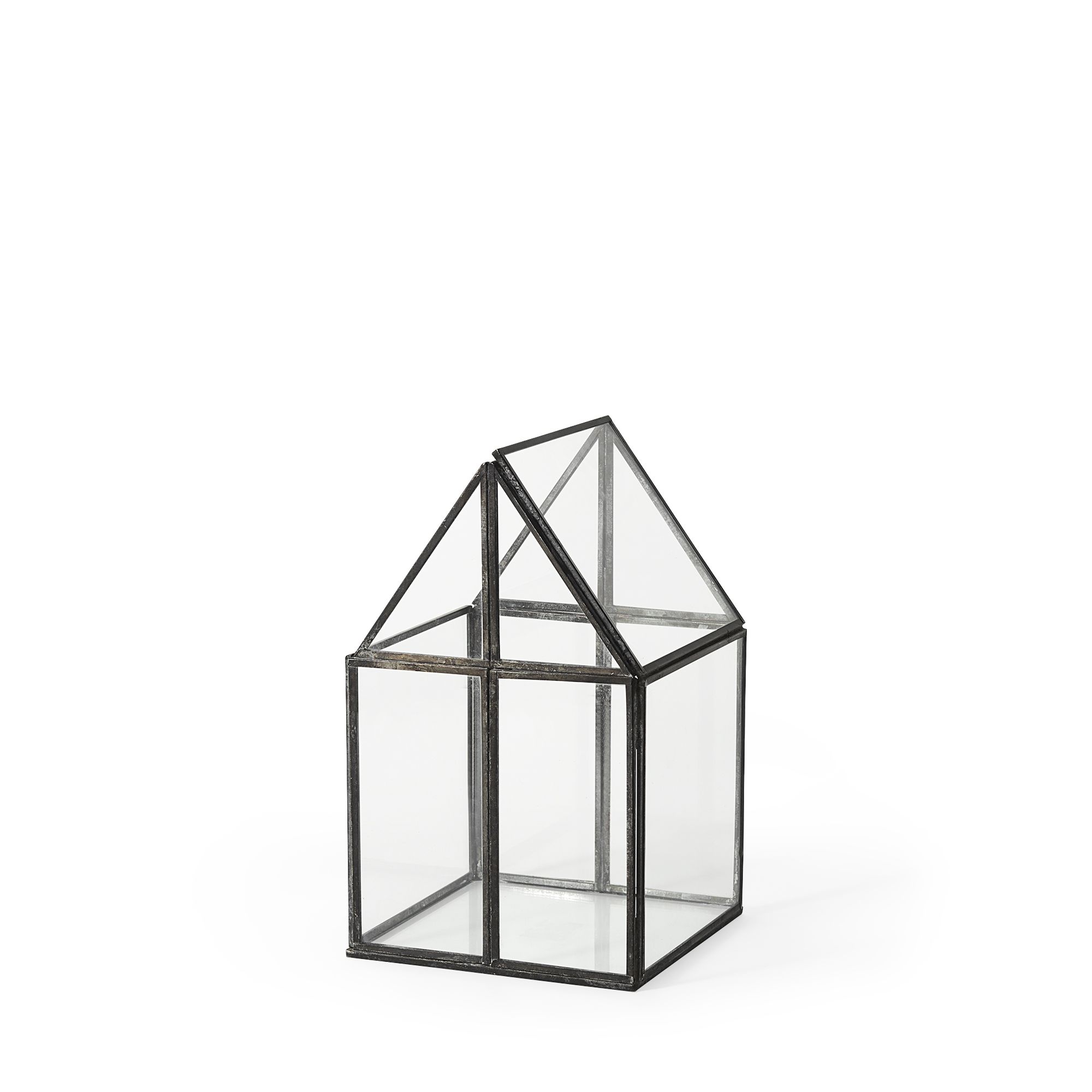 Mercana - Sikes Hut Terrarium