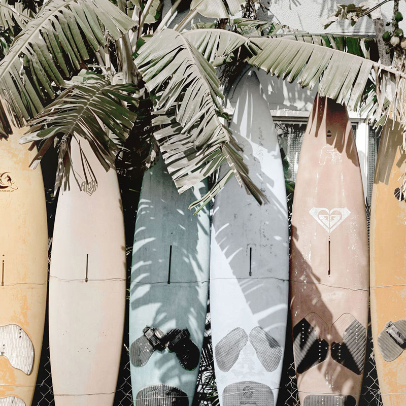 Moe's - Surfs Up Wall Decor