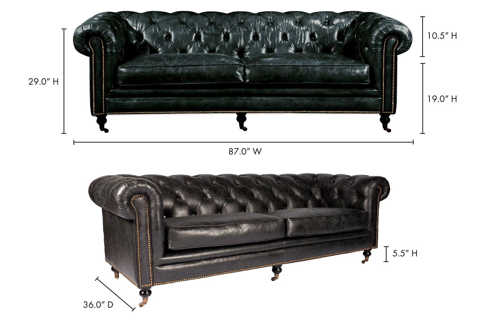 Moe's Birmingham Sofa - Black