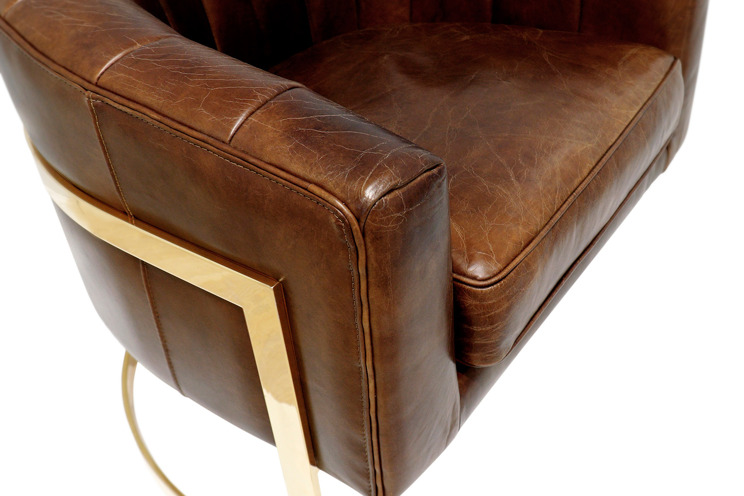Pasargad - Vicenza Collection Barrel Leather Chair