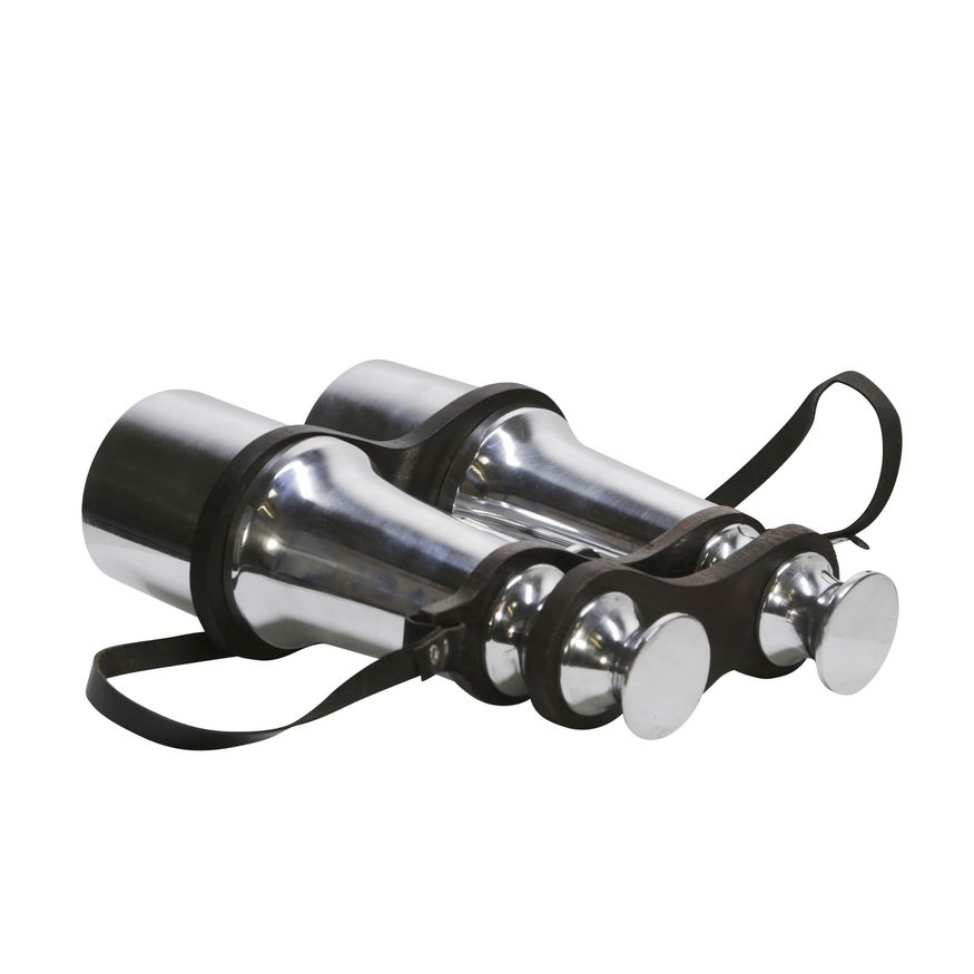 Sagebrook - 9" Metal Binoculars in Silver