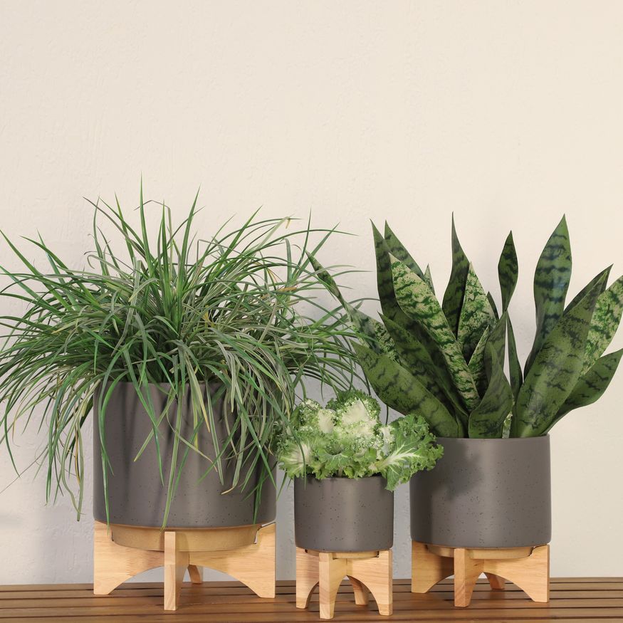 Sagebrook 10" Planter With Wood Stand - Matte Gray