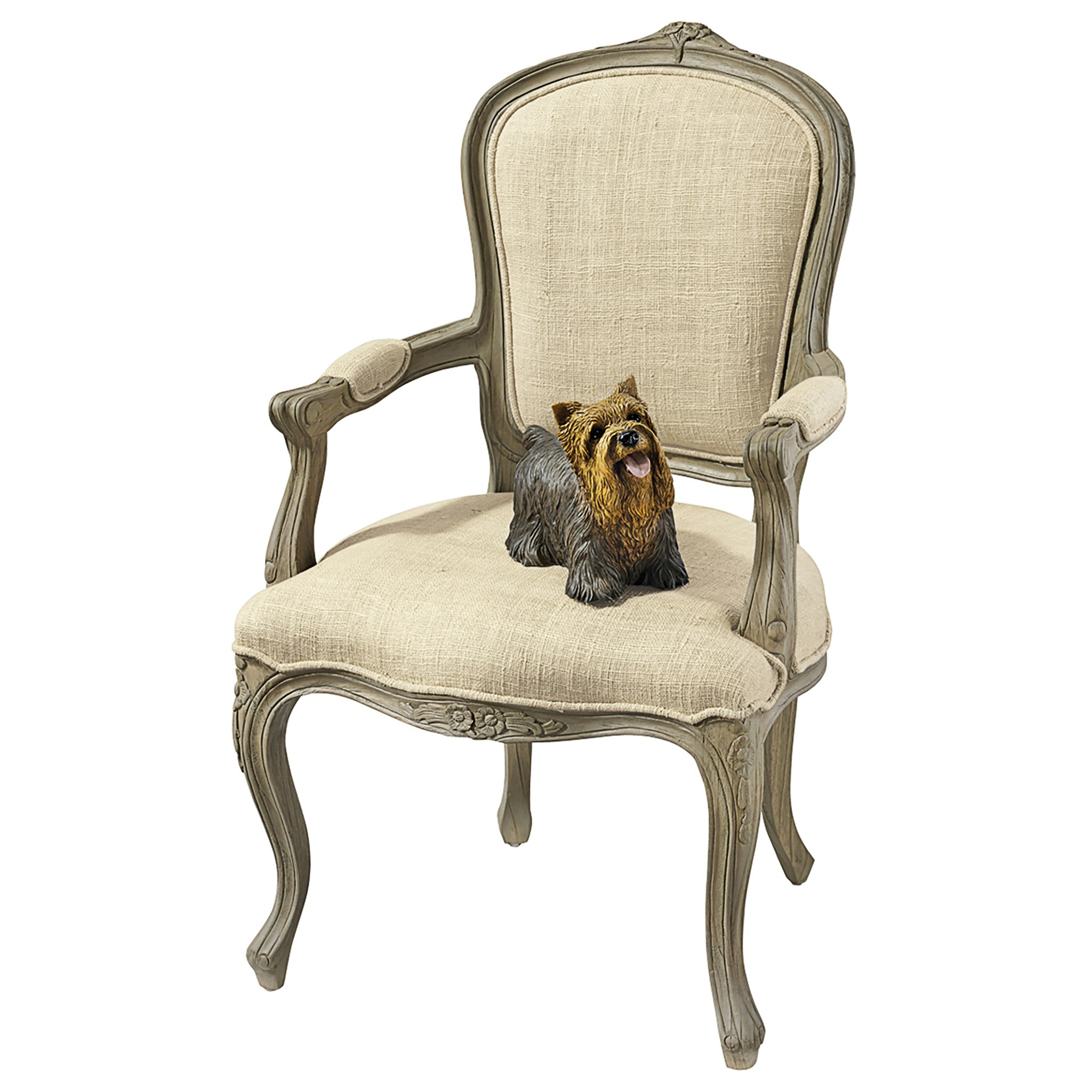 Toscano - The Carlisle Louis XV Armchair in Cream, Fabric/Mahogany