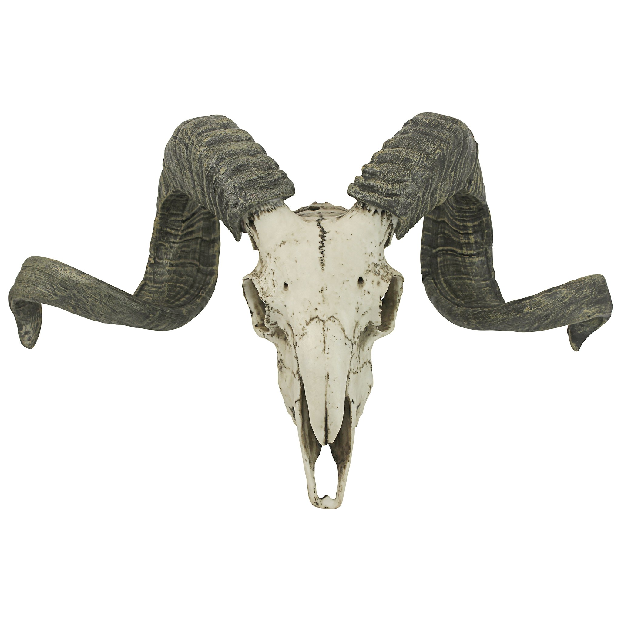 Toscano - Corsican Ram Skull and Horns Trophy Wall Sculpture