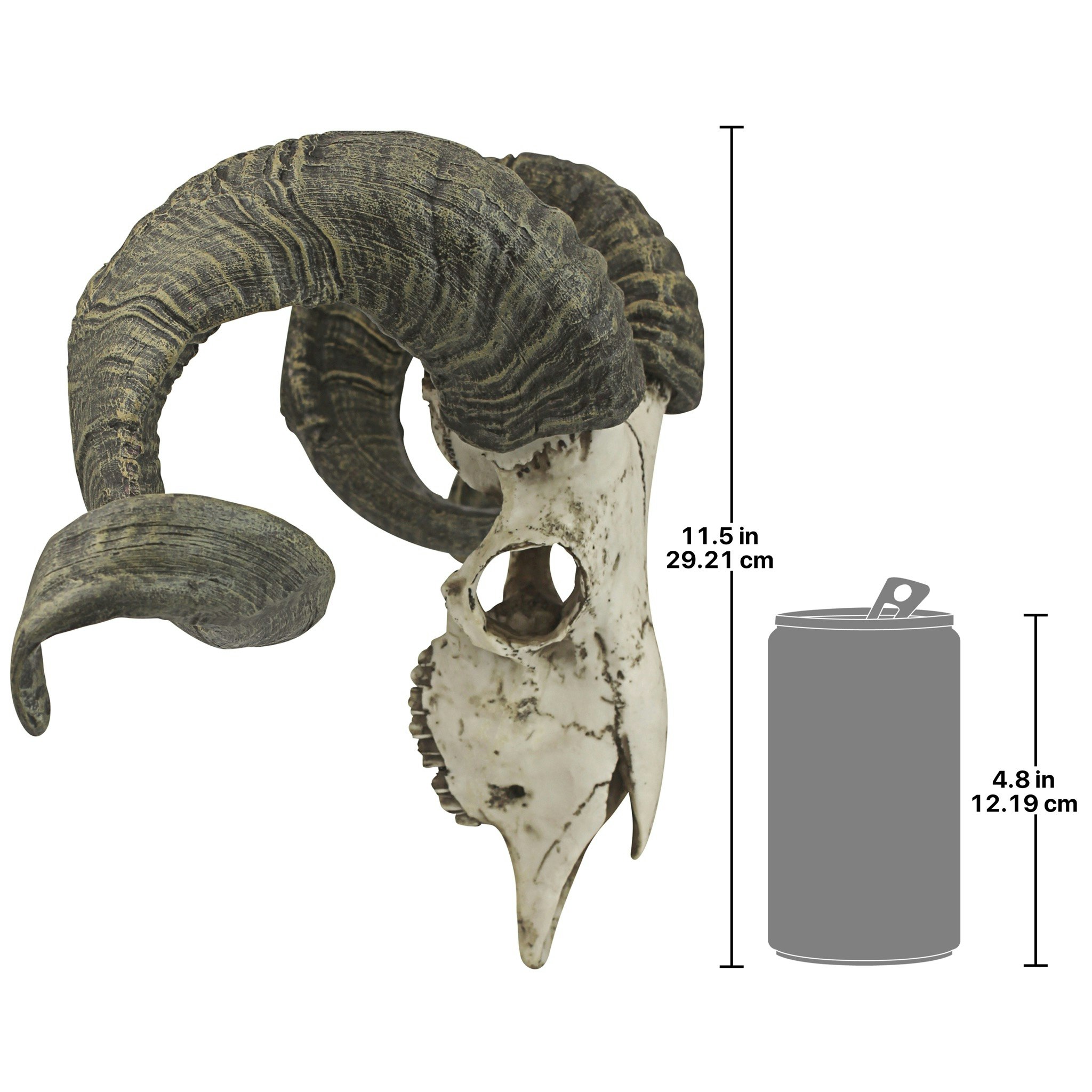 Toscano - Corsican Ram Skull and Horns Trophy Wall Sculpture