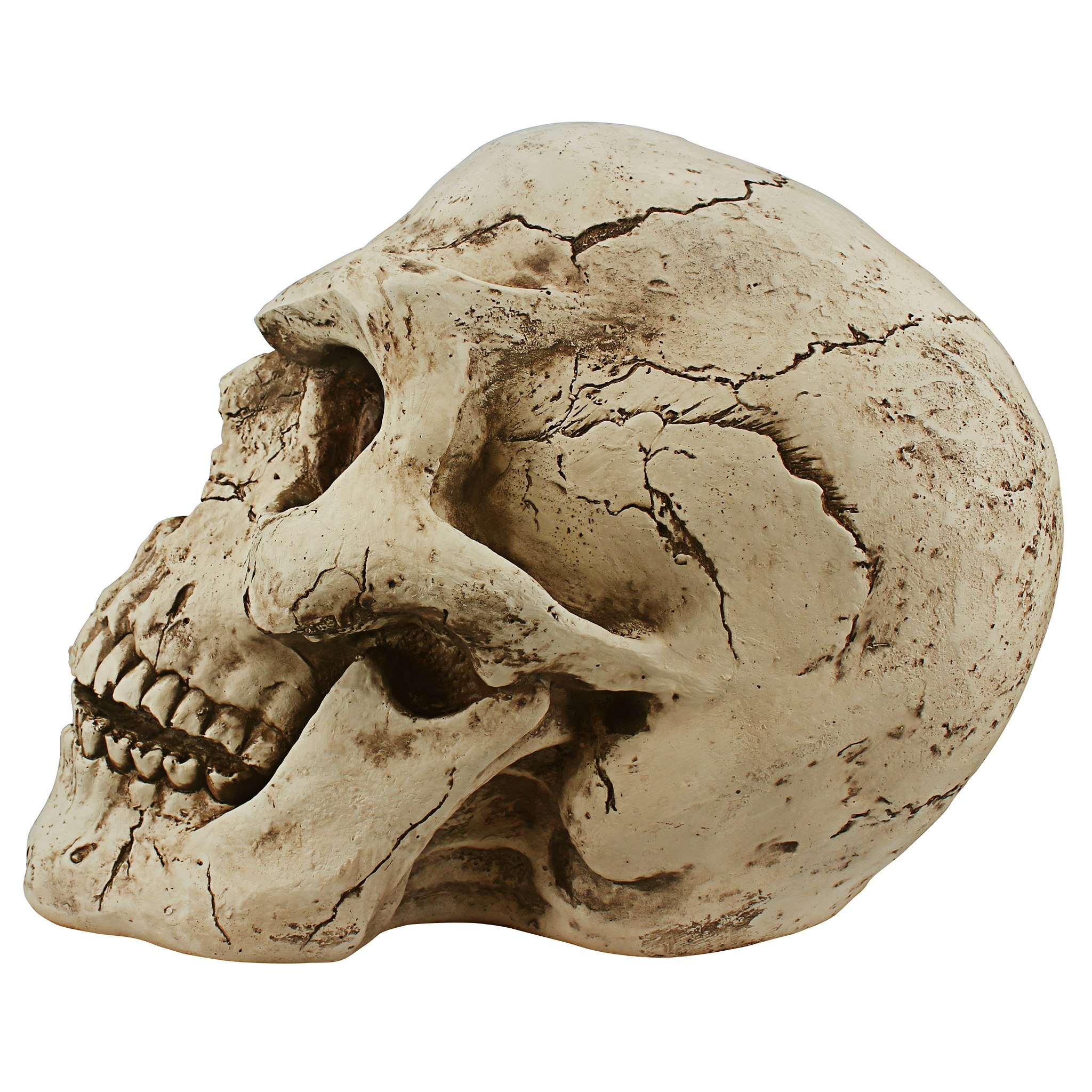 Toscano - Sinister Simon Giant Skull Statue