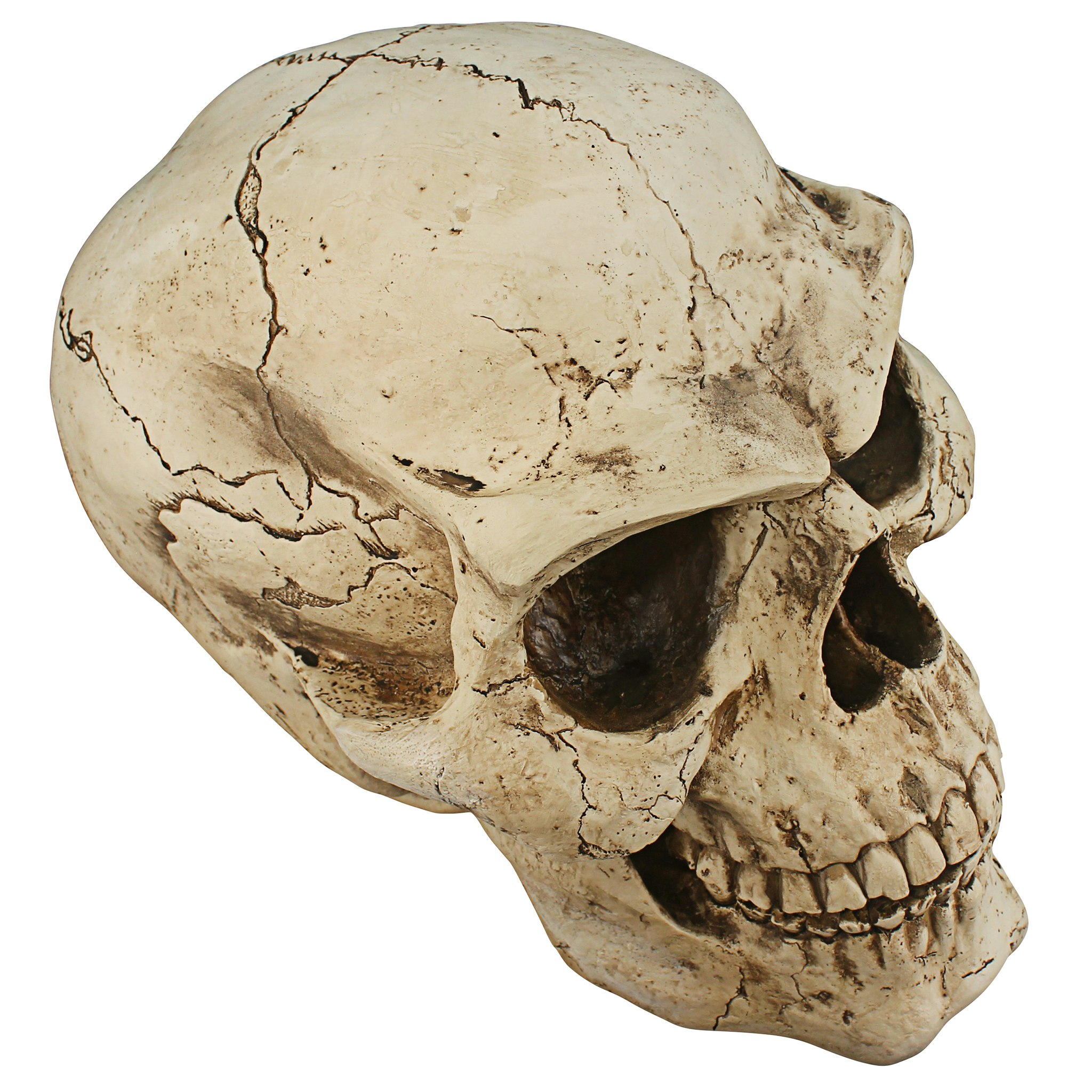 Toscano - Sinister Simon Giant Skull Statue