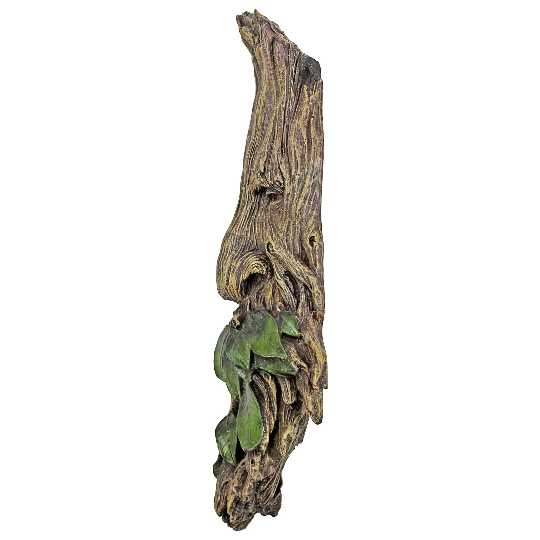 Toscano - Whispering Wilhelm Tree Ent Wall Sculpture