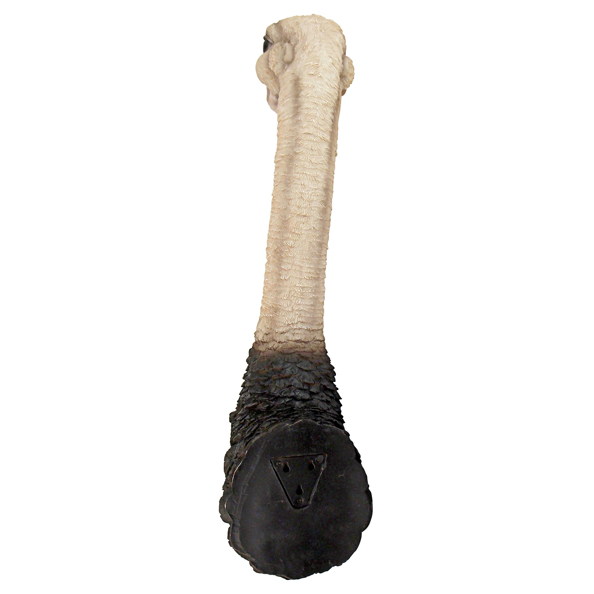 Toscano - Ostrich Bird Trophy Wall Sculpture