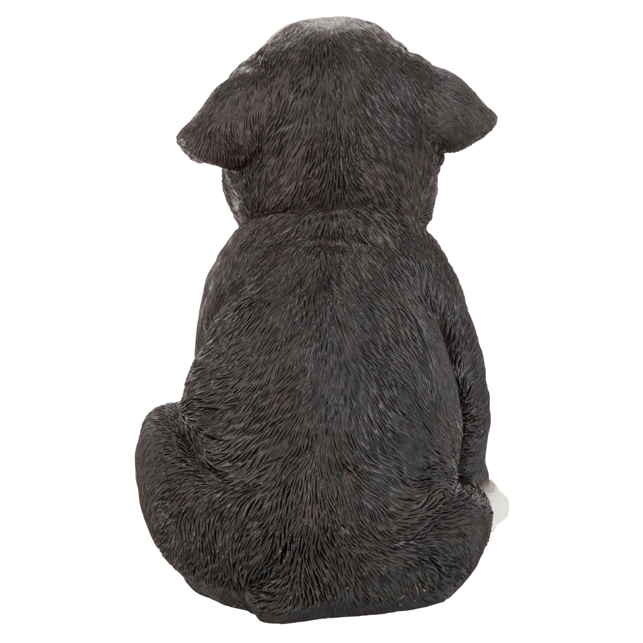 Toscano - Border Collie Puppy Partner Collectible Dog Statue
