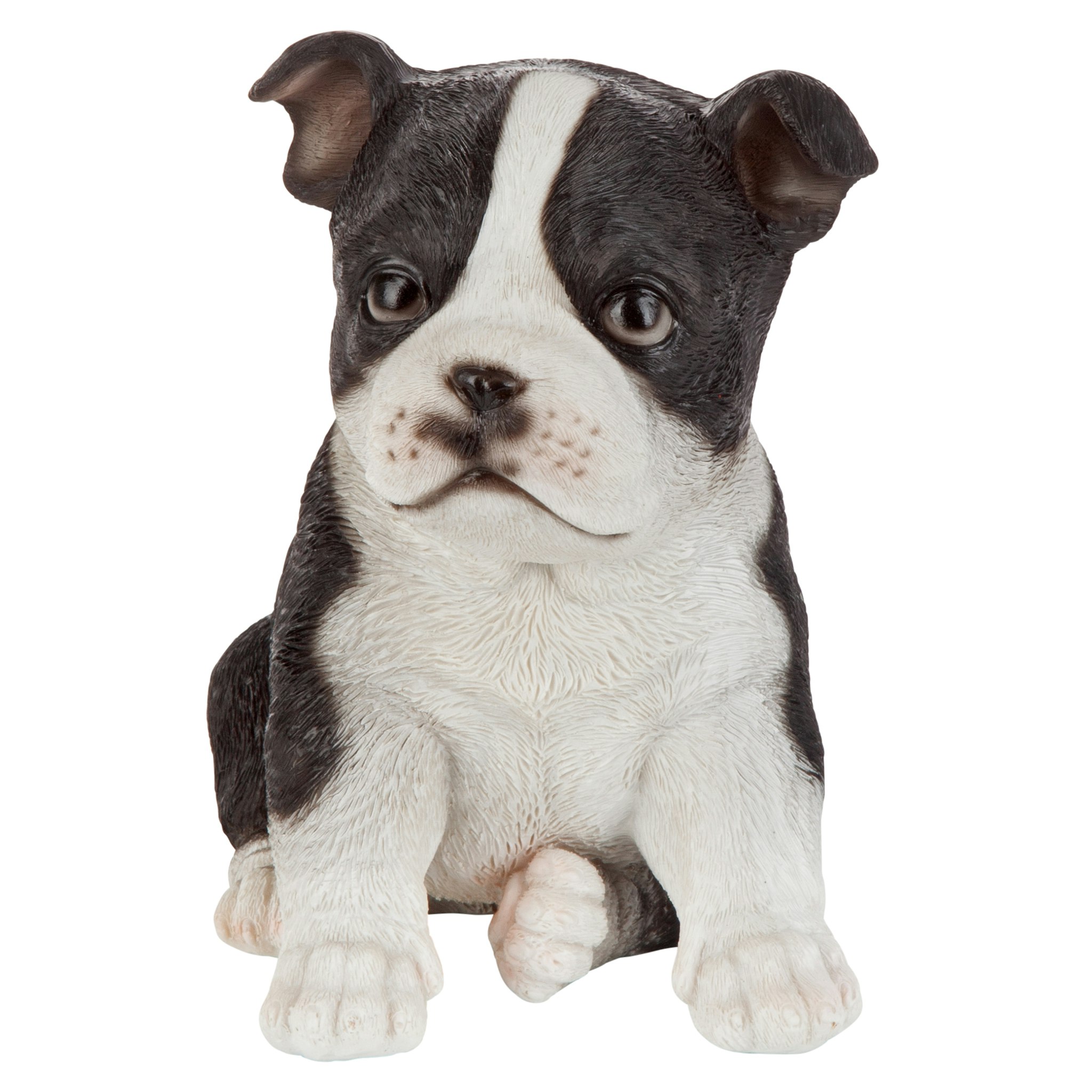 Toscano - Boston Terrier Puppy Partner Collectible Dog Statue