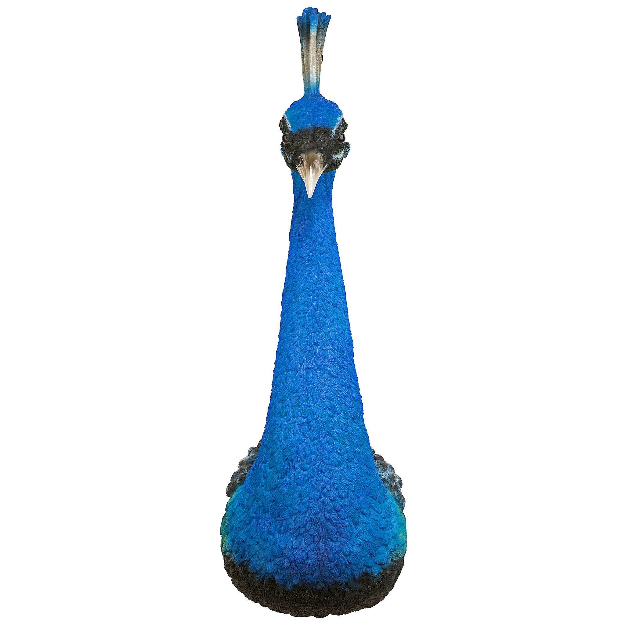 Toscano - Prized Peacock Trophy Wall Sculpture