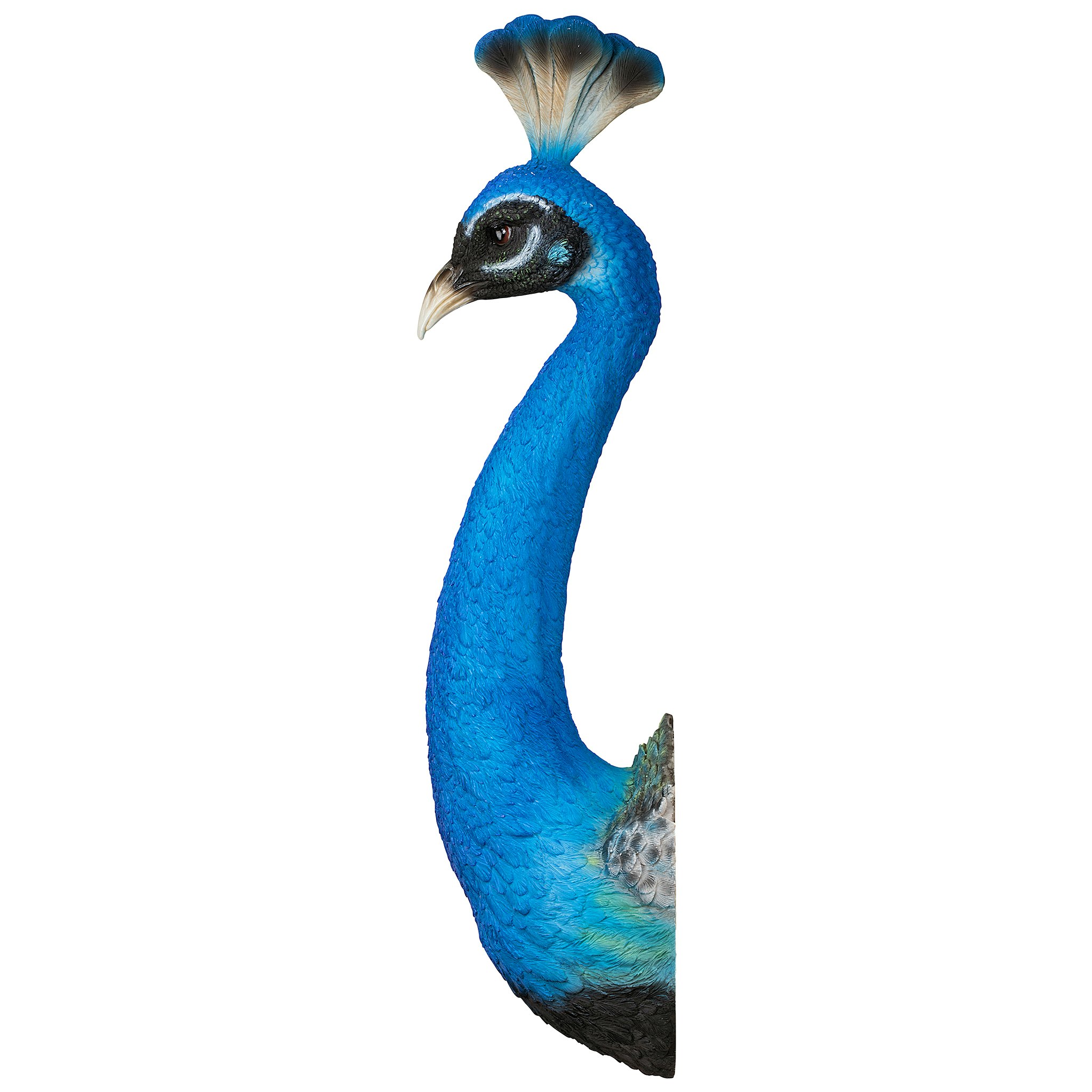 Toscano - Prized Peacock Trophy Wall Sculpture
