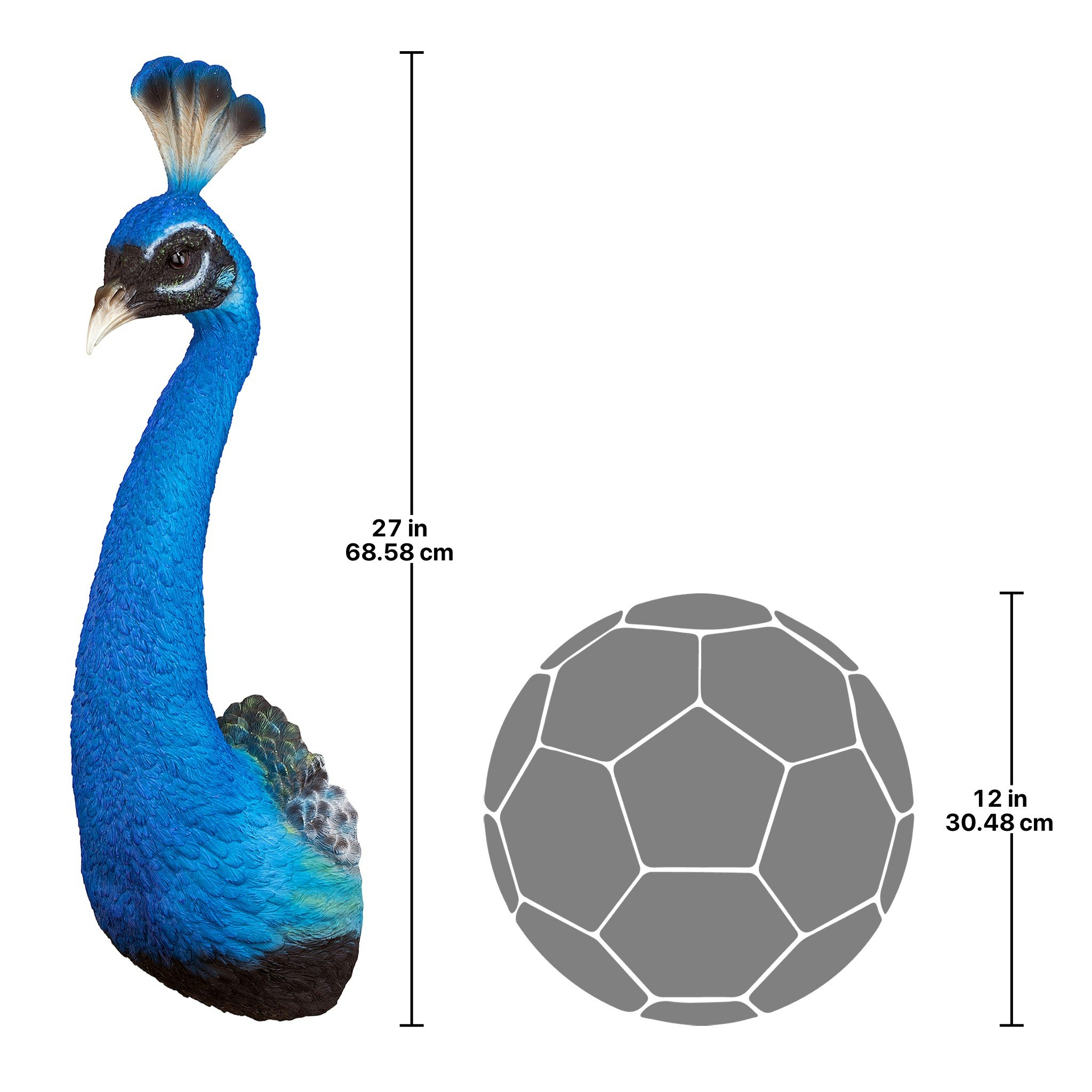Toscano - Prized Peacock Trophy Wall Sculpture