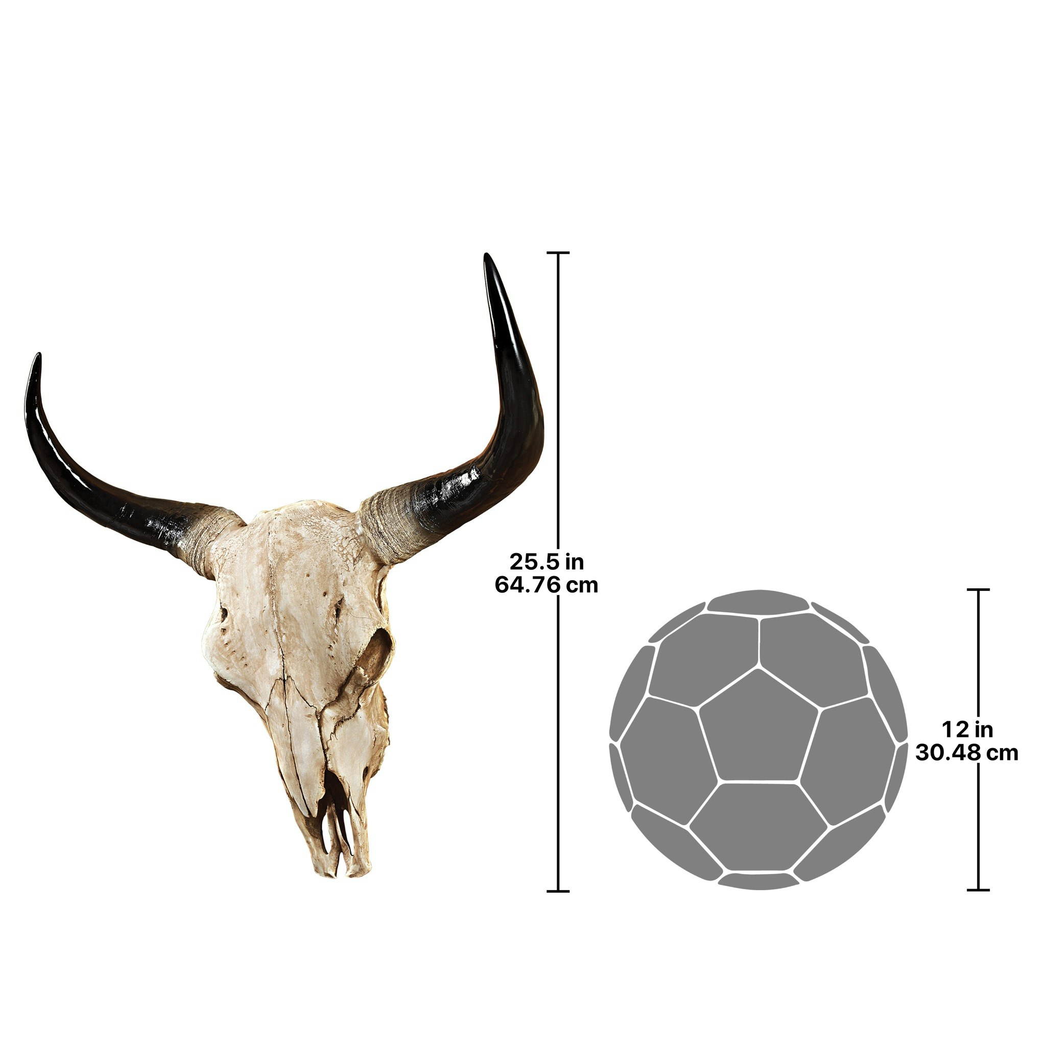 Toscano - Long Horn Steer Trophy Wall Sculpture