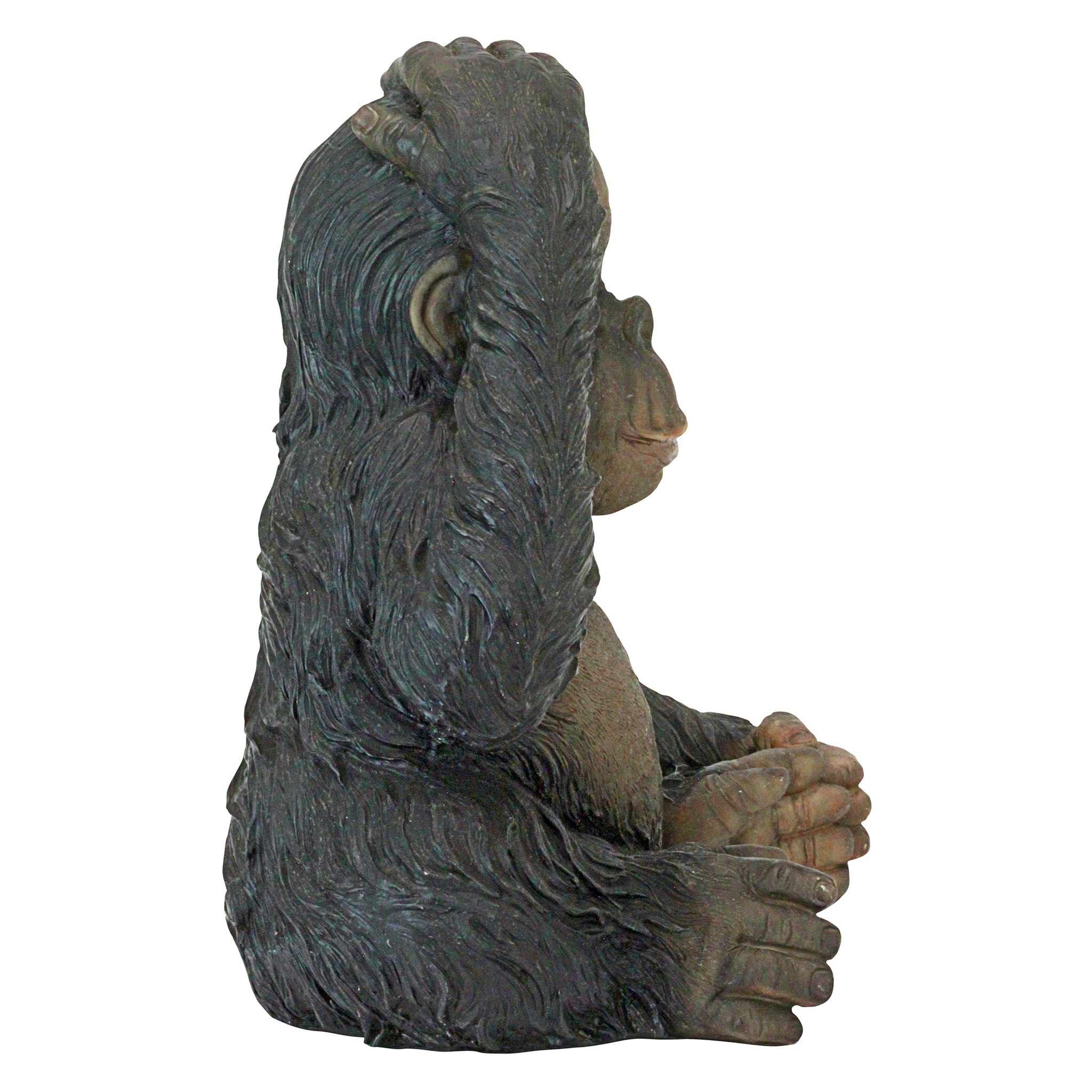 Toscano - Curly the Chimpanzee of the Jungle Funny Monkey Statue