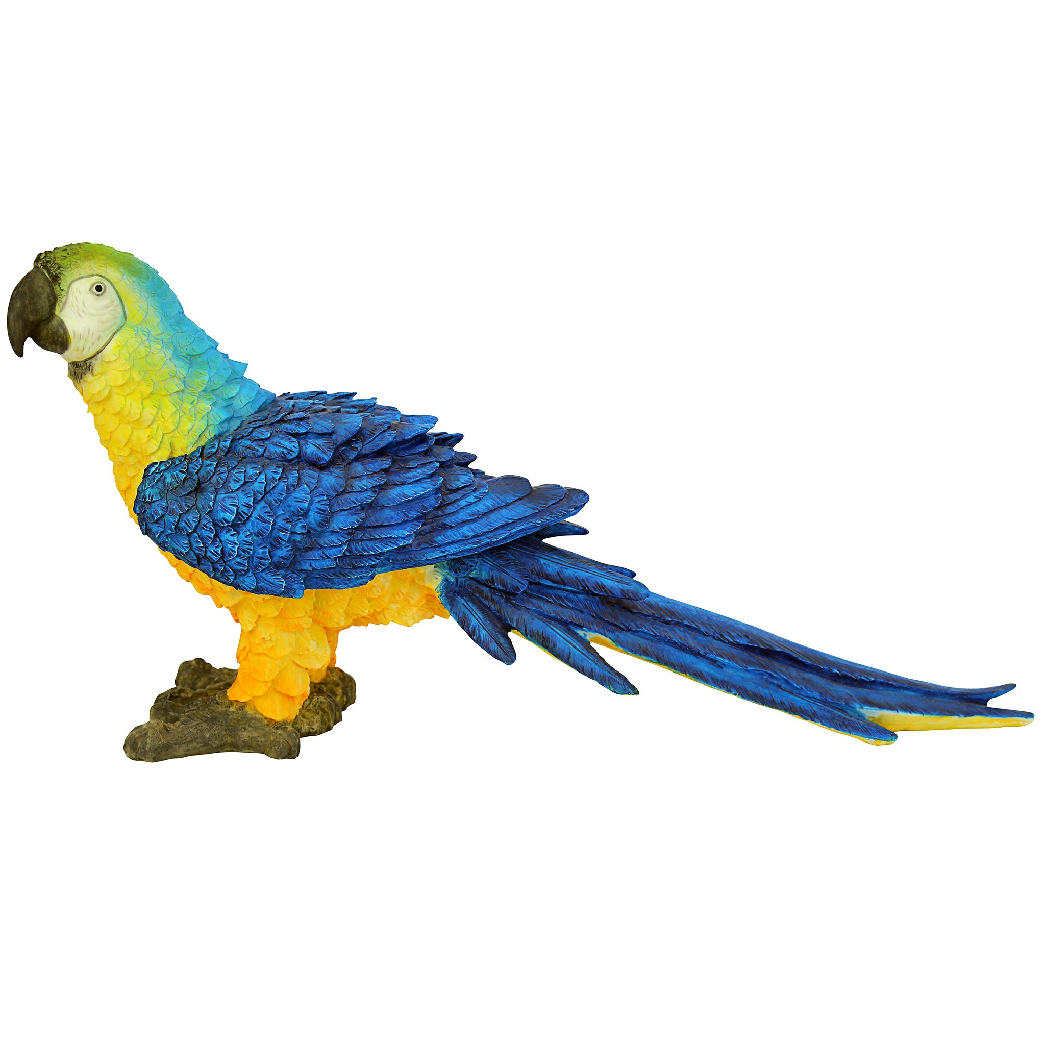 Toscano - Mortimer the Macaw Tropical Parrot Statue
