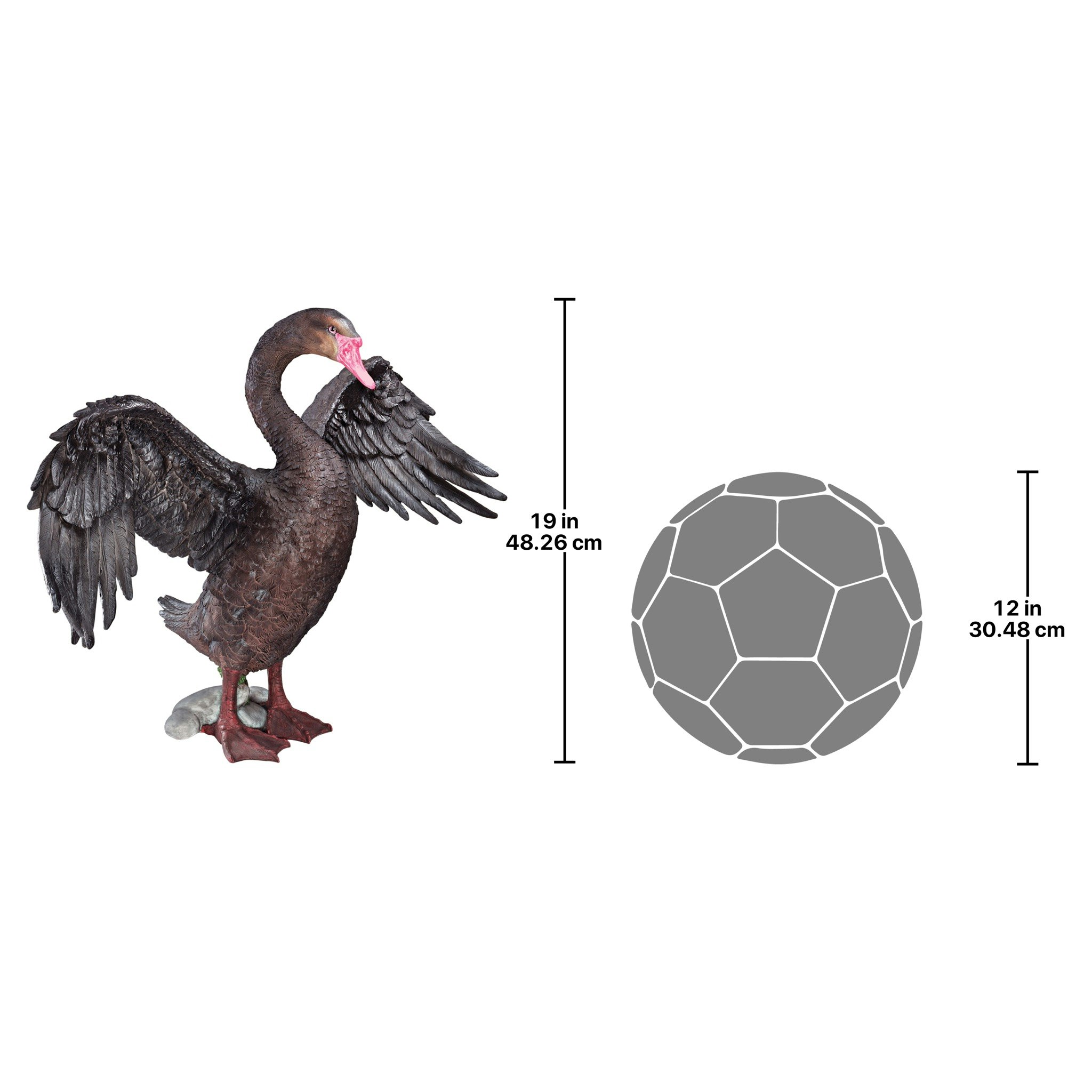 Toscano - Beautiful Black Swan Statue