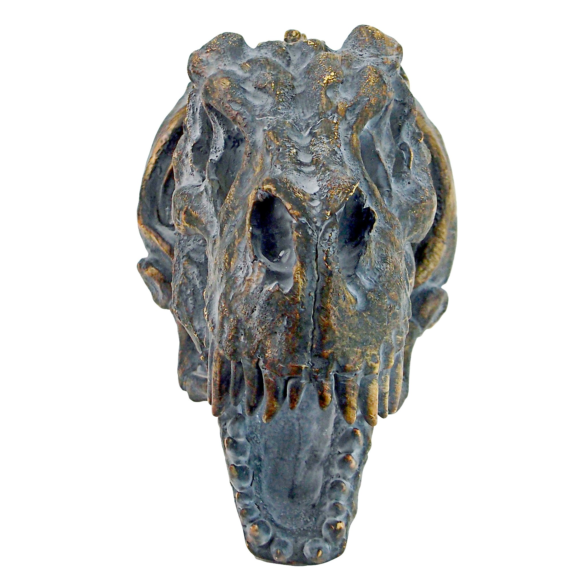 Toscano - Bones of the Dinosaur T-Rex Skeleton Wall Sculpture