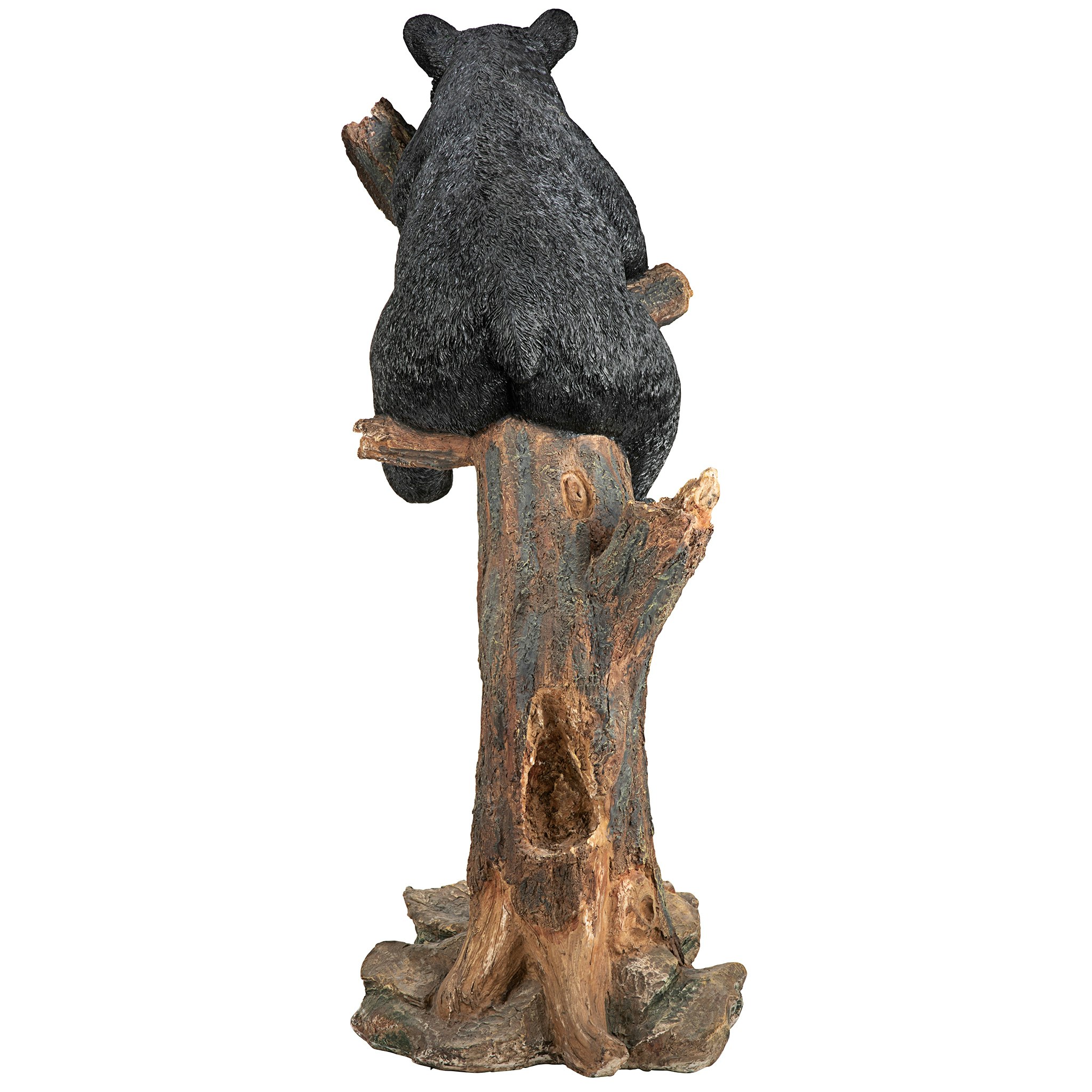 Toscano - Forest Vantage Point Black Bear Statue