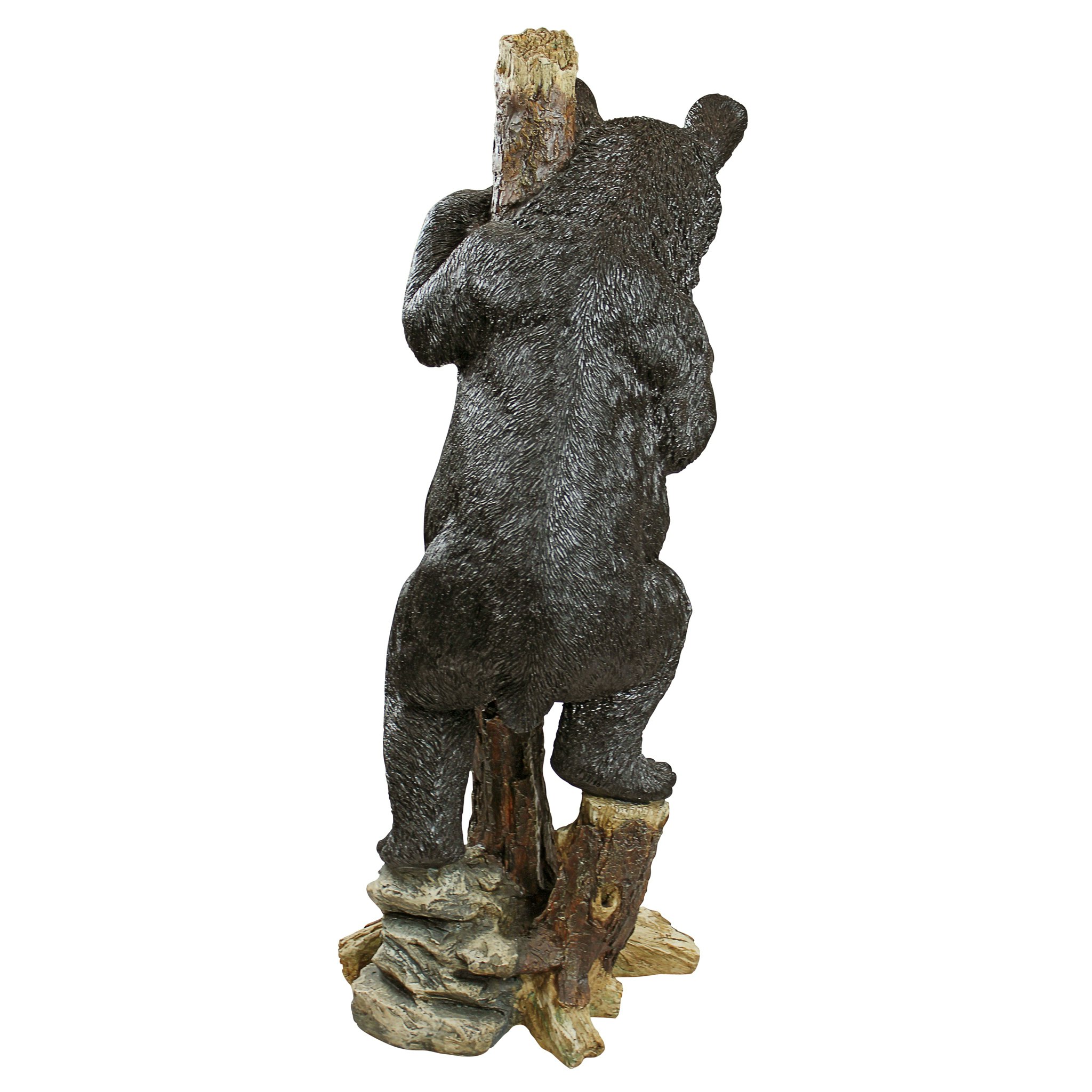Toscano - Up a Tree Bashful Black Bear Cub Statue