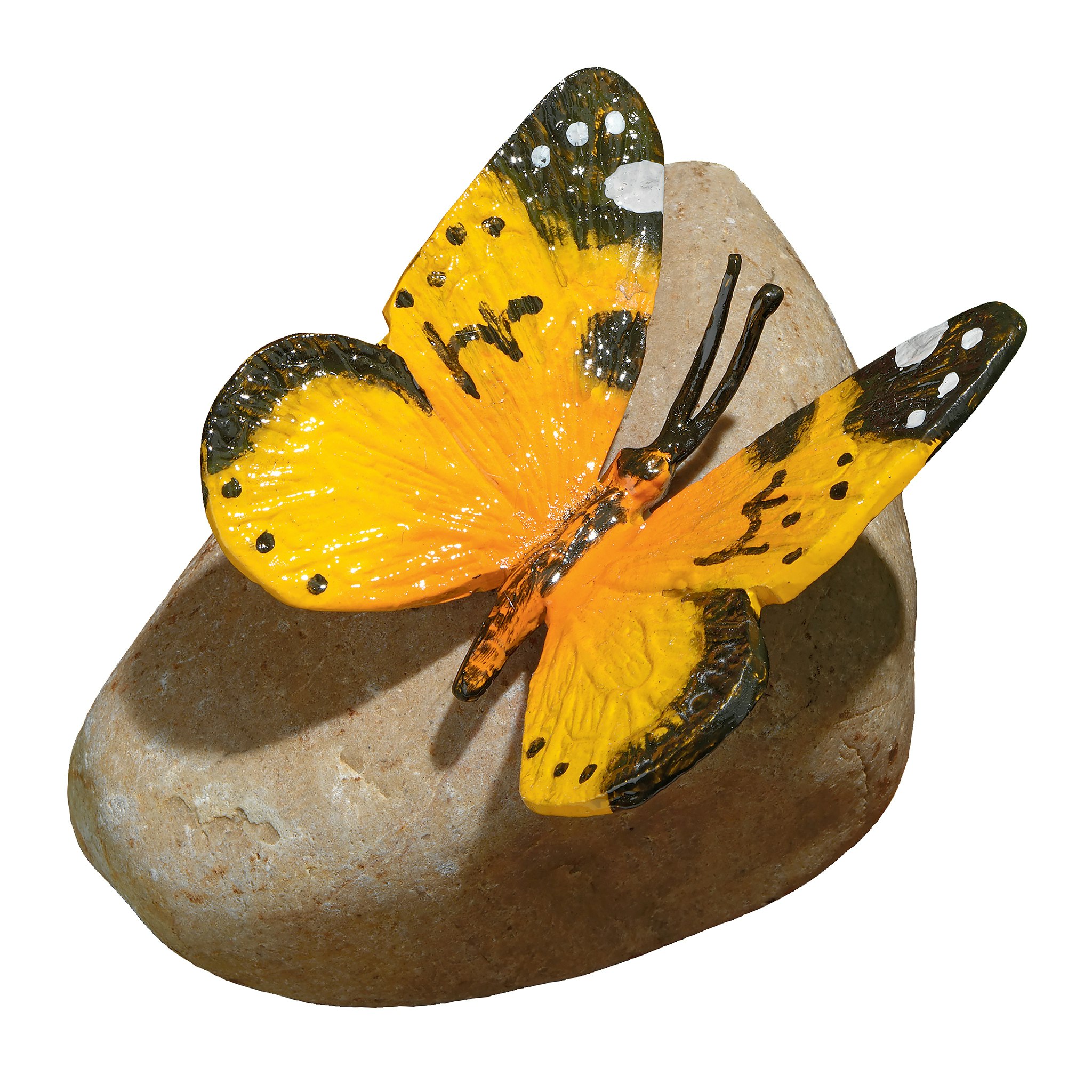 Toscano - Yellow Mocker Swallowtail Butterfly on Rock Statue
