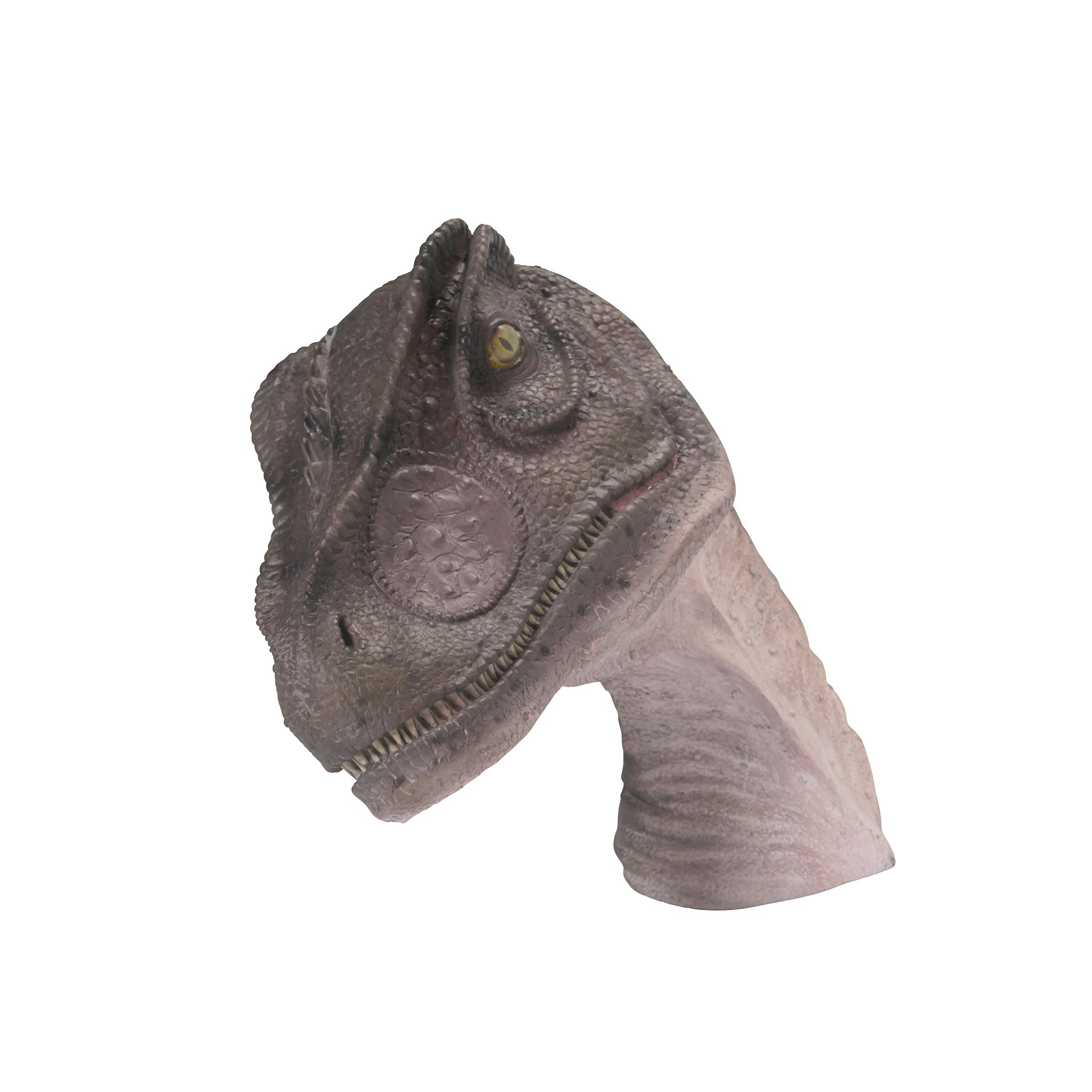 Toscano Giant Allosaurus Dinosaur Wall Trophy - Mouth Closed