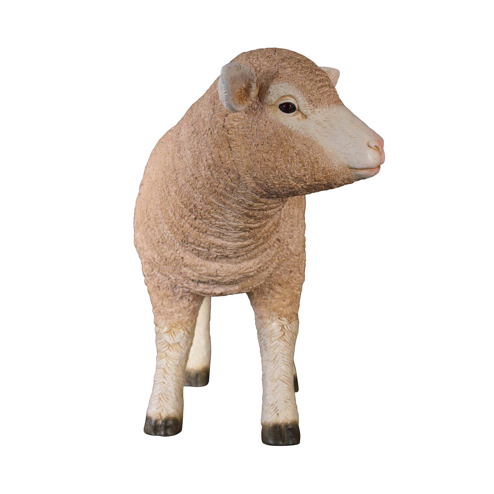 Toscano Merino Ewe Life-Size Lamb Statue - Standing