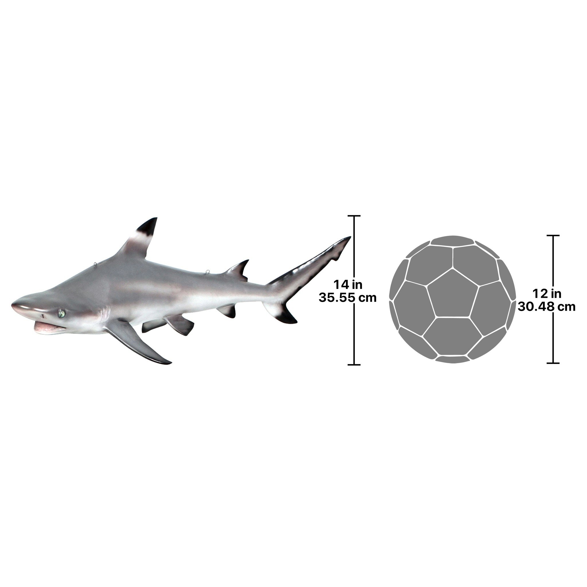 Toscano - Blacktip Shark Ceiling Mount Trophy Sculpture