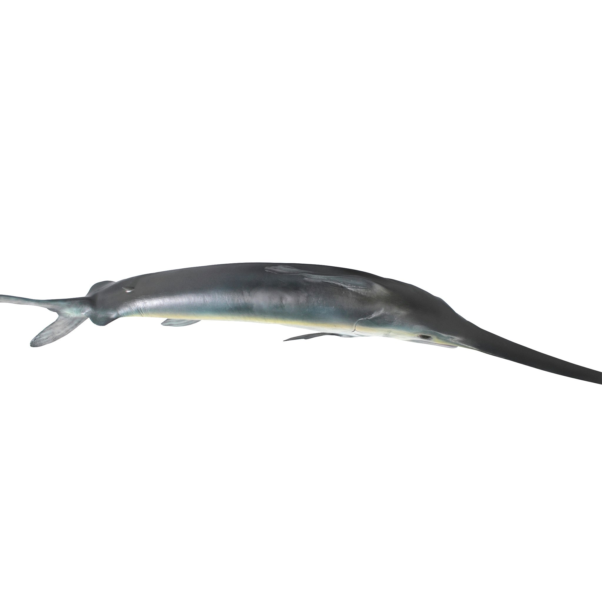 Toscano - Swordfish Wall Mount Trophy Sculpture