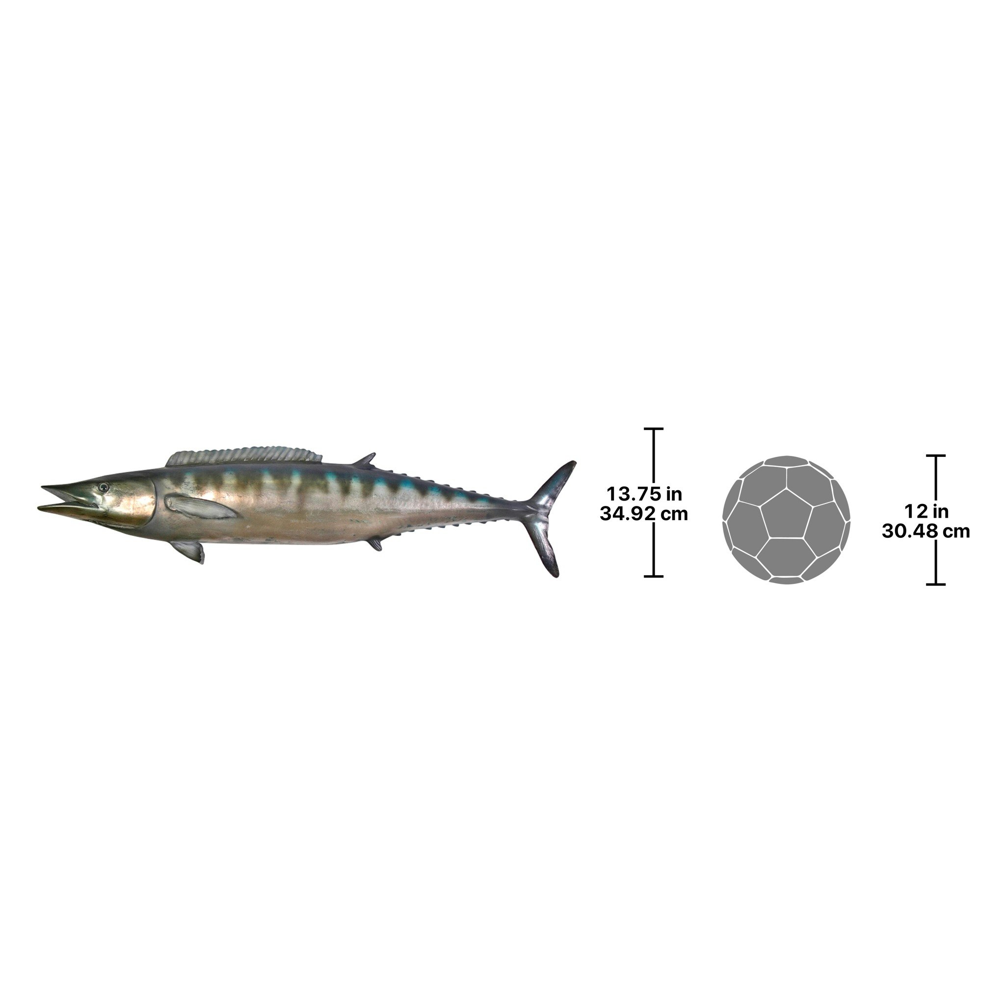 Toscano - Wahoo Wall Mount Fish Trophy Sculpture
