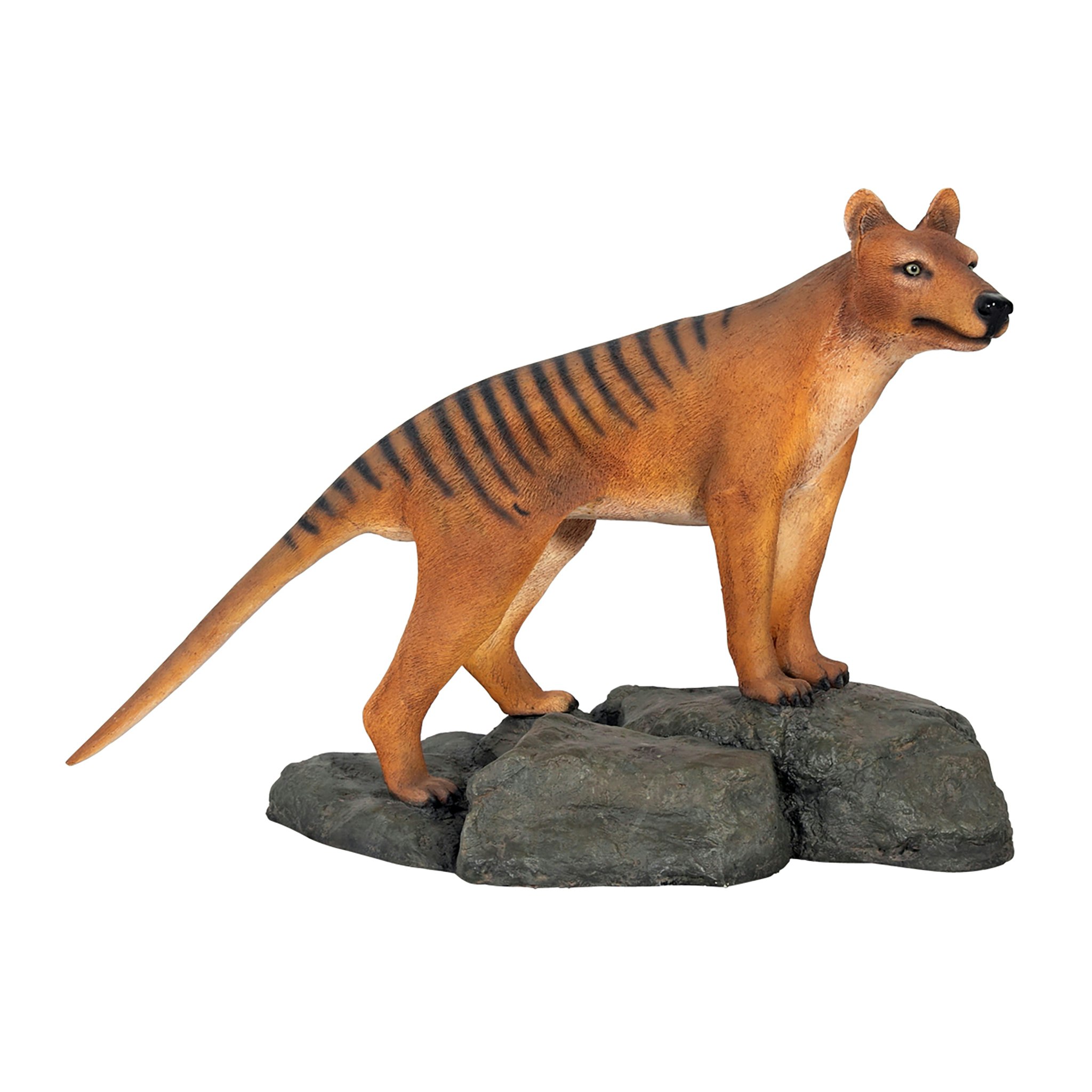 Toscano - Mysterious Tasmanian Tiger Statue