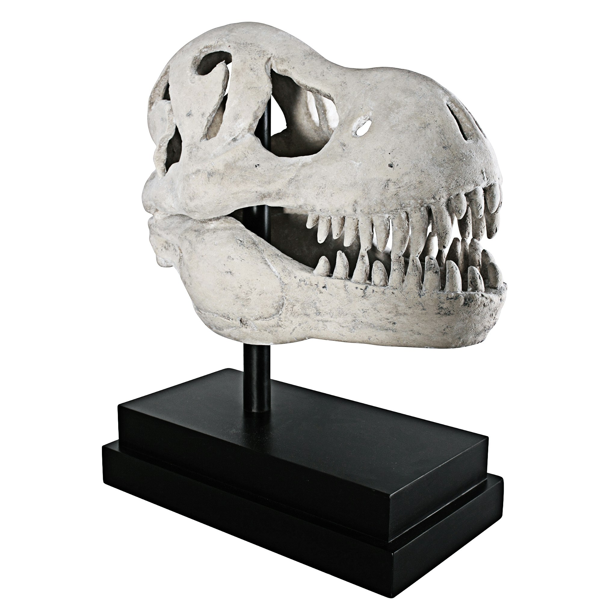 Toscano - T-Rex Dinosaur Skull Fossil Statue on Museum Mount