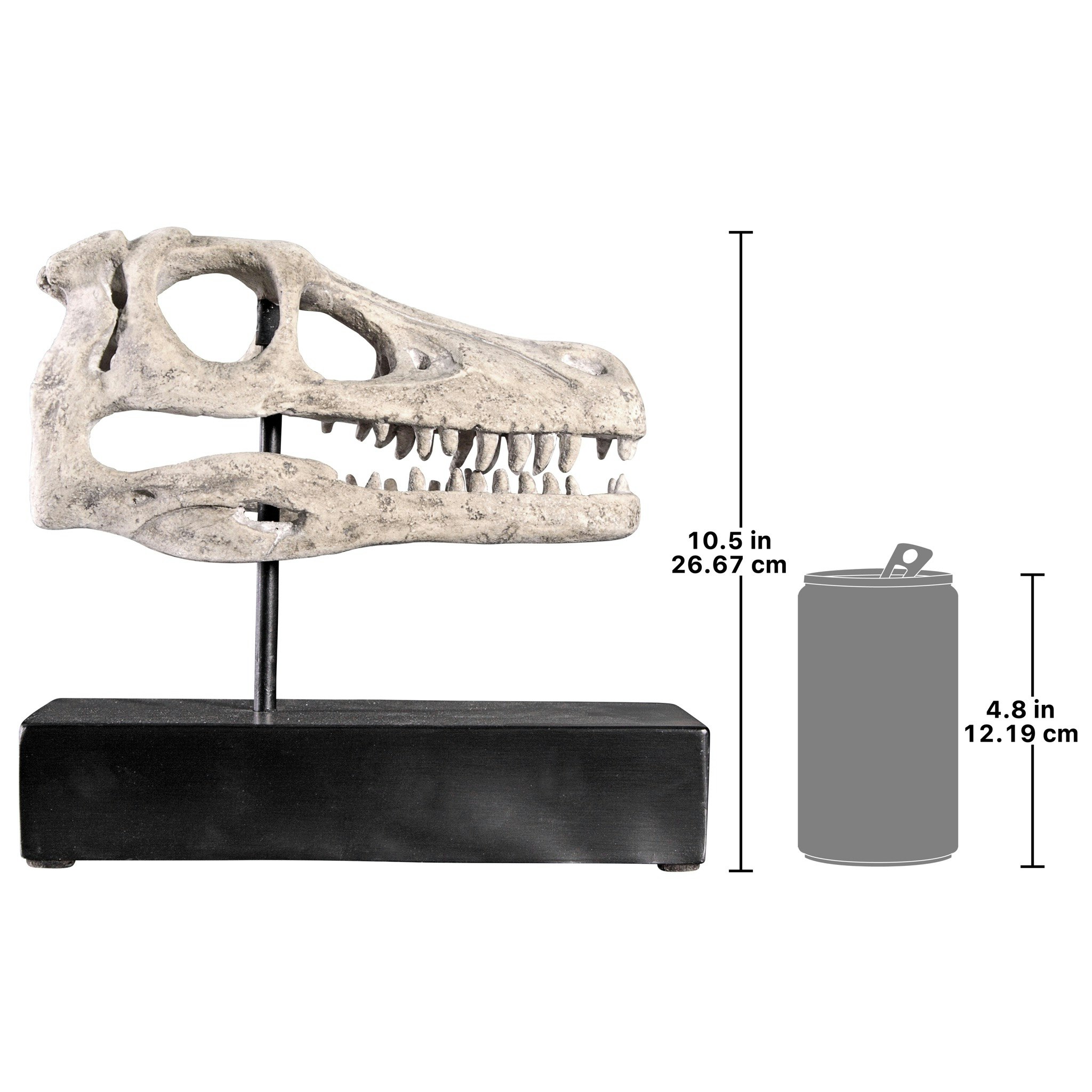Toscano - Velociraptor Dinosaur Skull Fossil Statue on Museum Mount