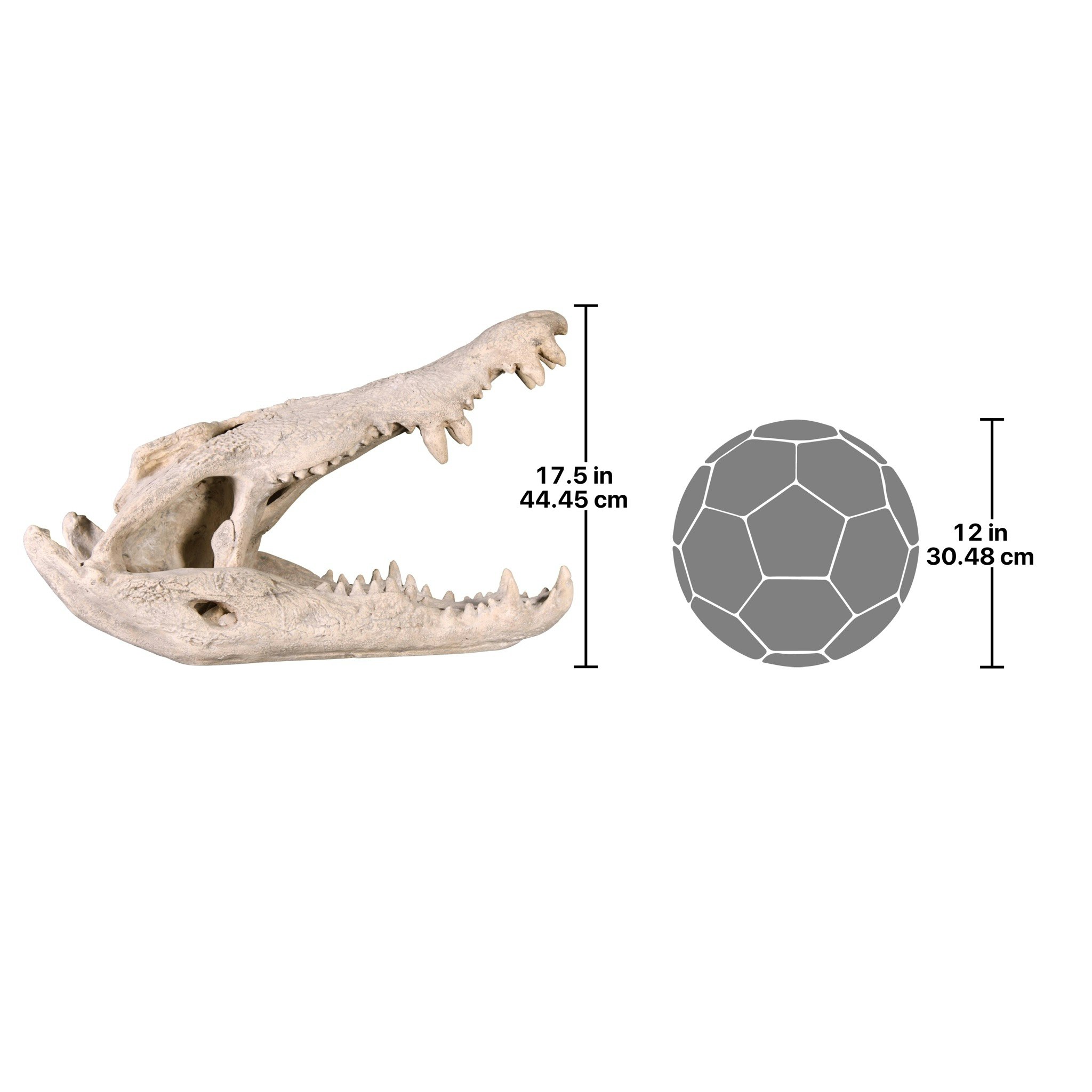 Toscano - Crocodile Skull Sculptural Artifact
