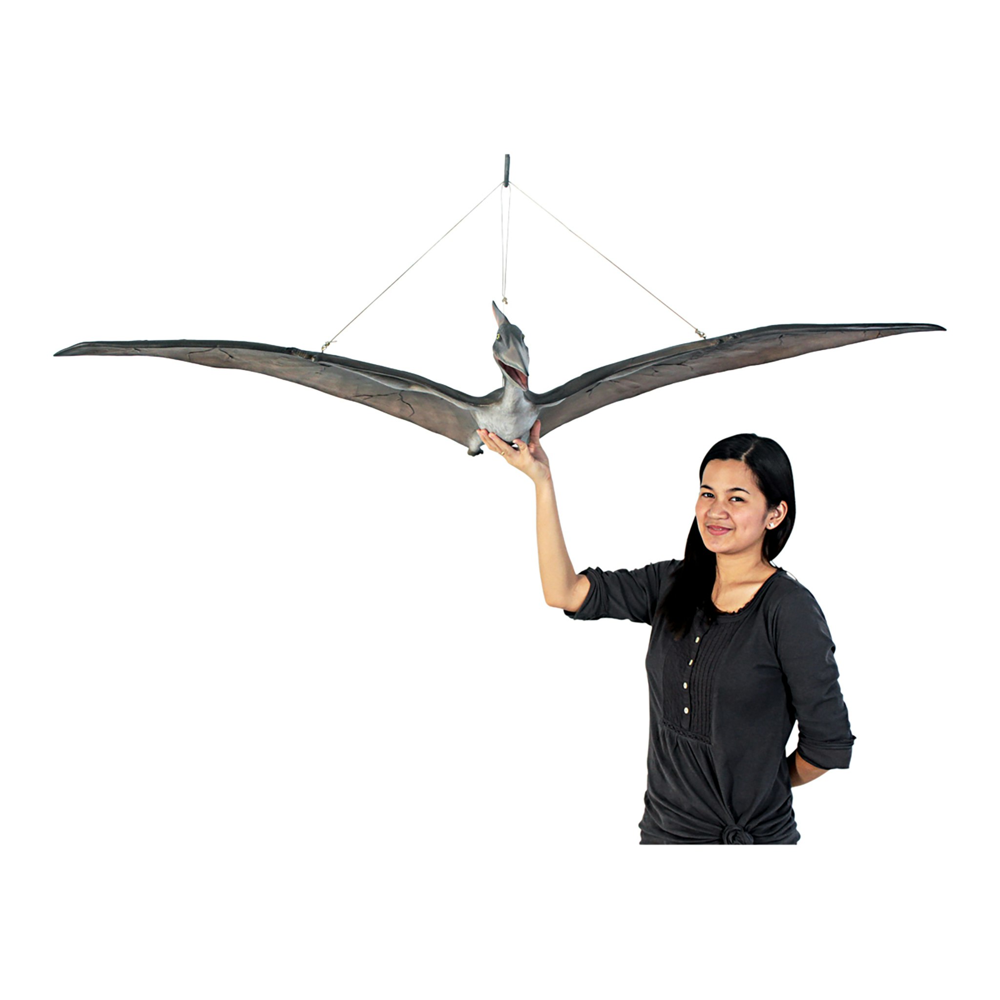Toscano - Pteranodon Scaled Dinosaur Hanging Statue