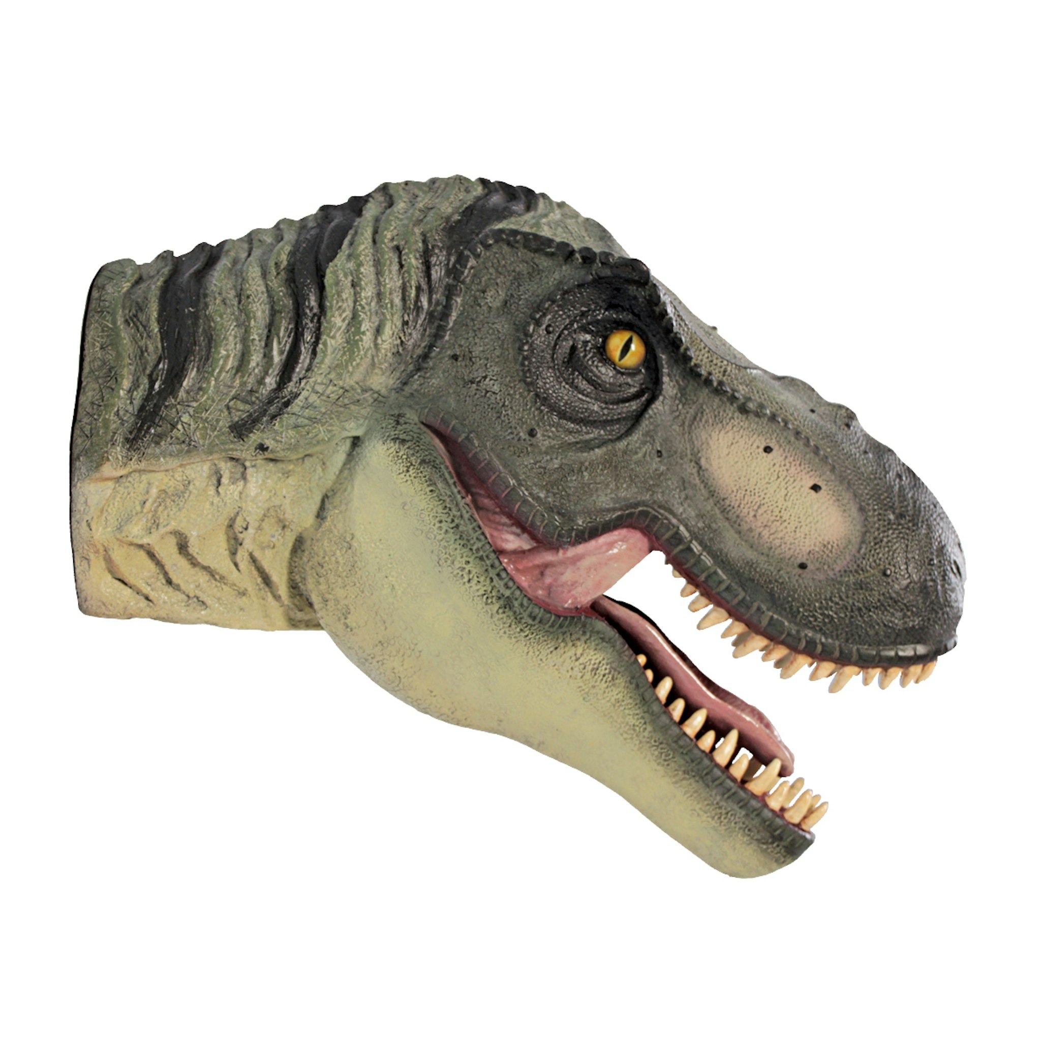 Toscano - Scaled Tyrannosaurus Rex Dinosaur Wall Trophy